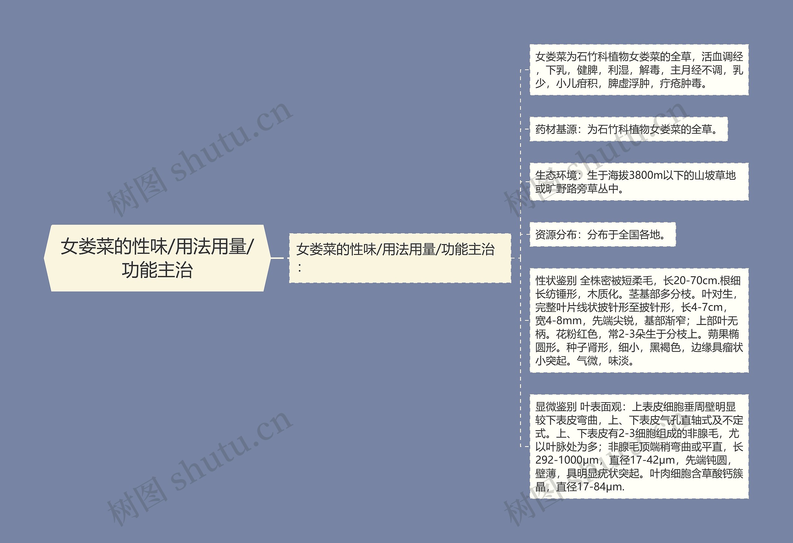 女娄菜的性味/用法用量/功能主治