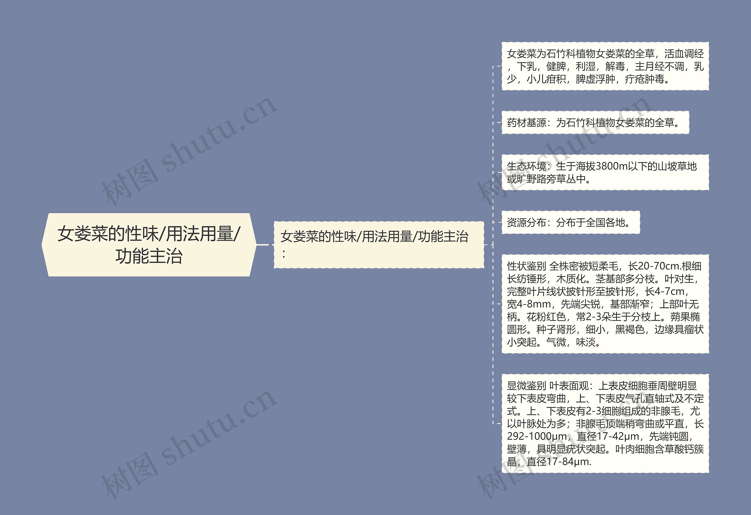 女娄菜的性味/用法用量/功能主治思维导图