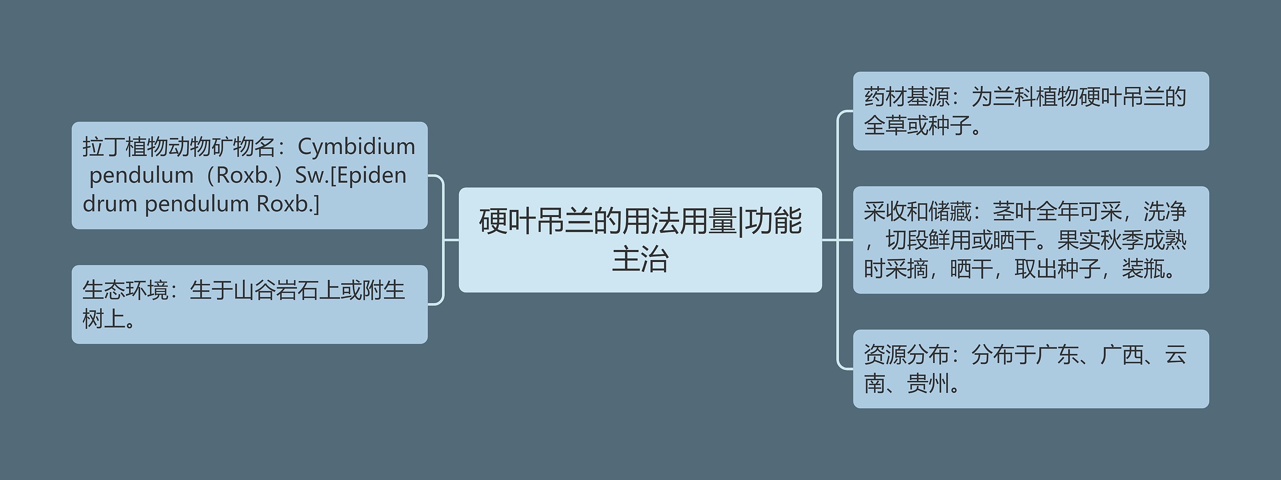 硬叶吊兰的用法用量|功能主治 硬叶吊兰的用法用量|功能主治
