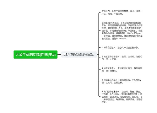 大金牛草的功能|性味|主治