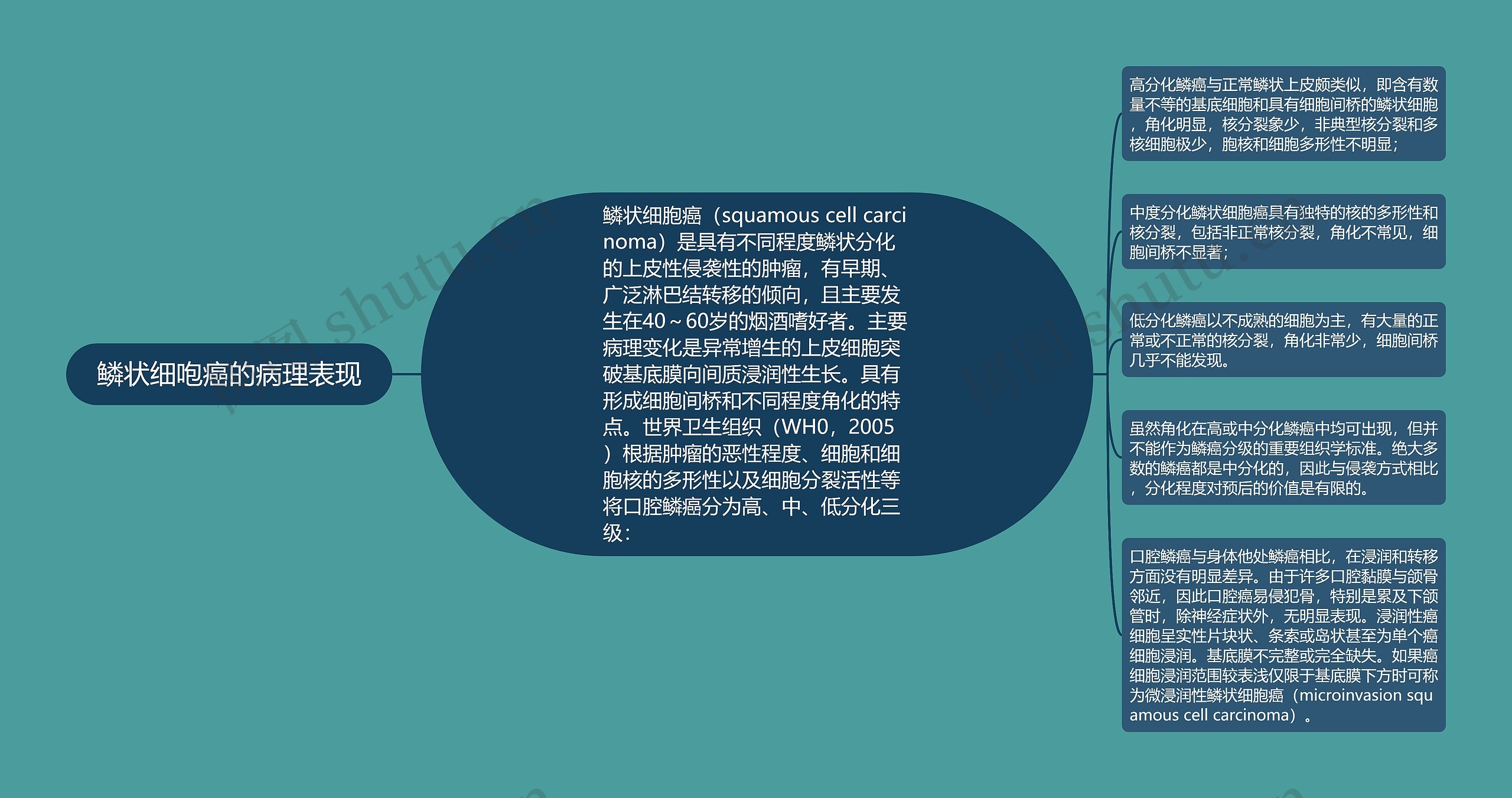 鳞状细咆癌的病理表现思维导图