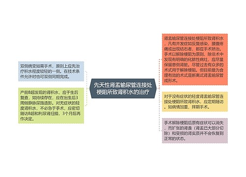 先天性肾盂输尿管连接处梗阻所致肾积水的治疗