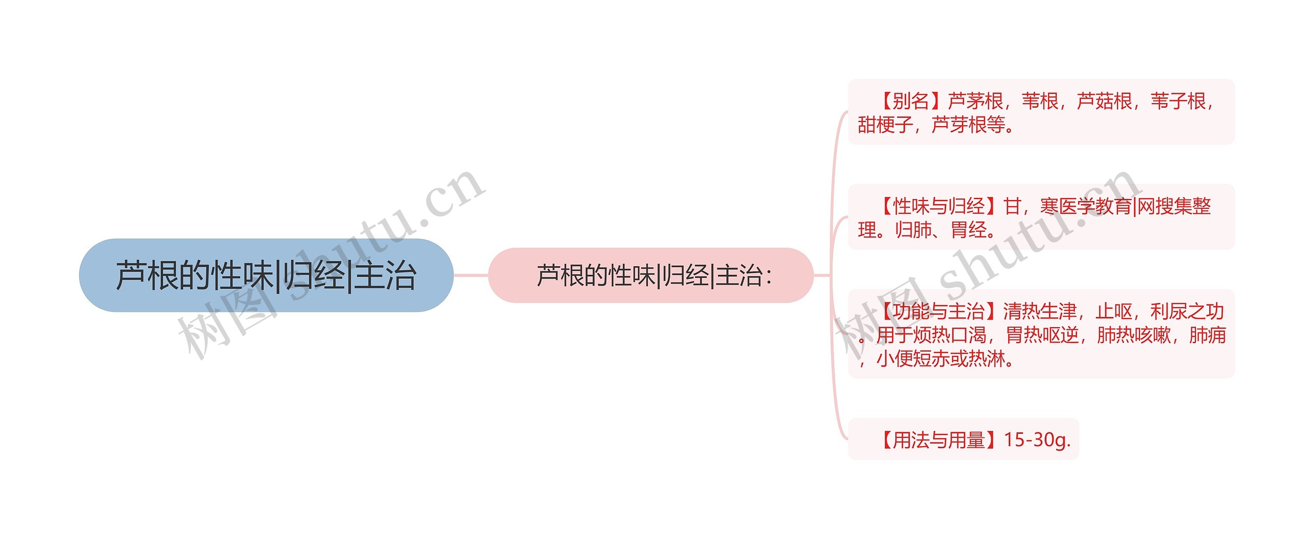 芦根的性味|归经|主治思维导图