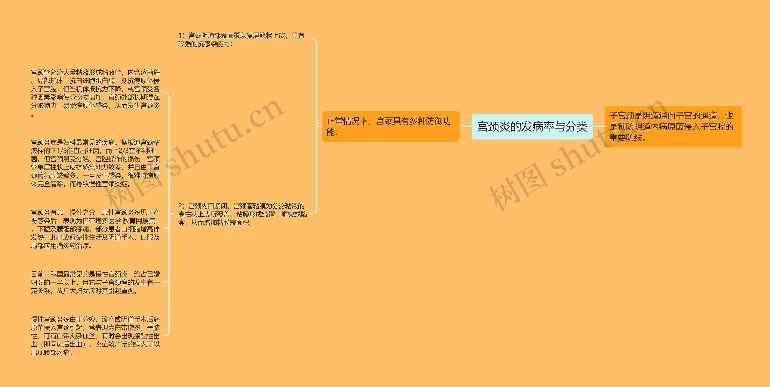 宫颈炎的发病率与分类 宫颈炎的发病率与分类