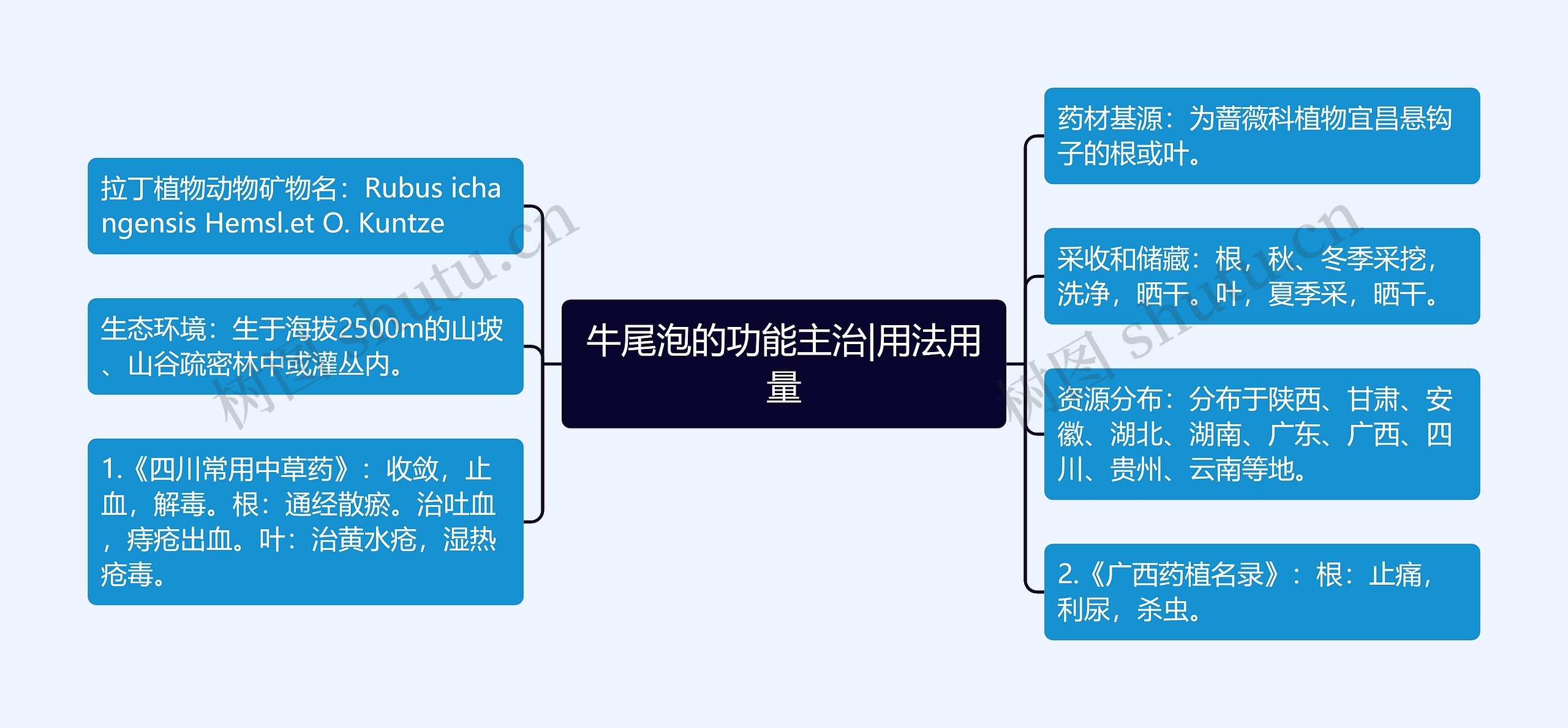 牛尾泡的功能主治|用法用量