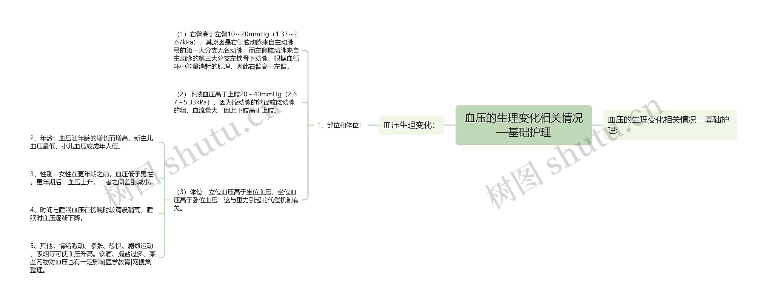 血压的生理变化相关情况—基础护理思维导图