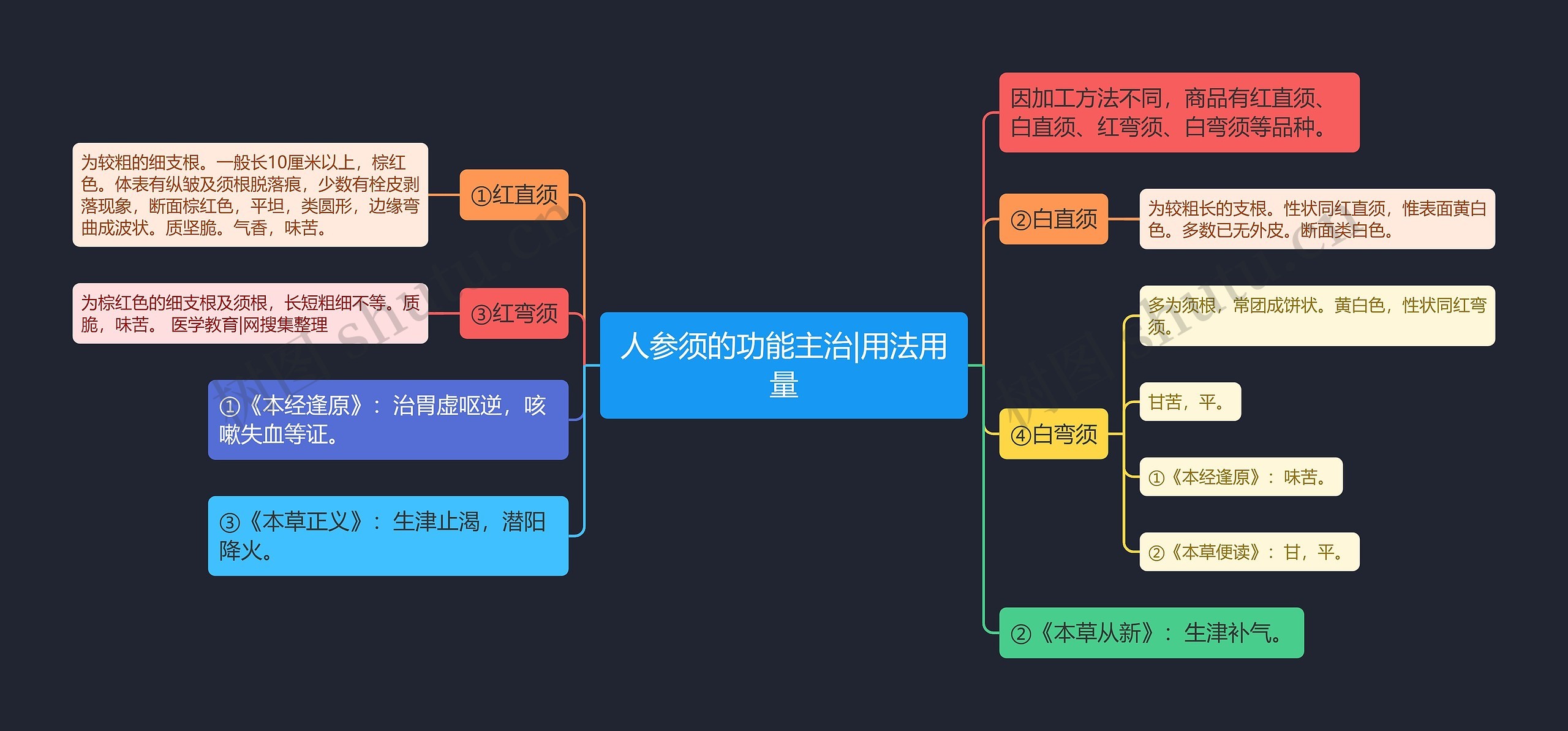 人参须的功能主治|用法用量思维导图