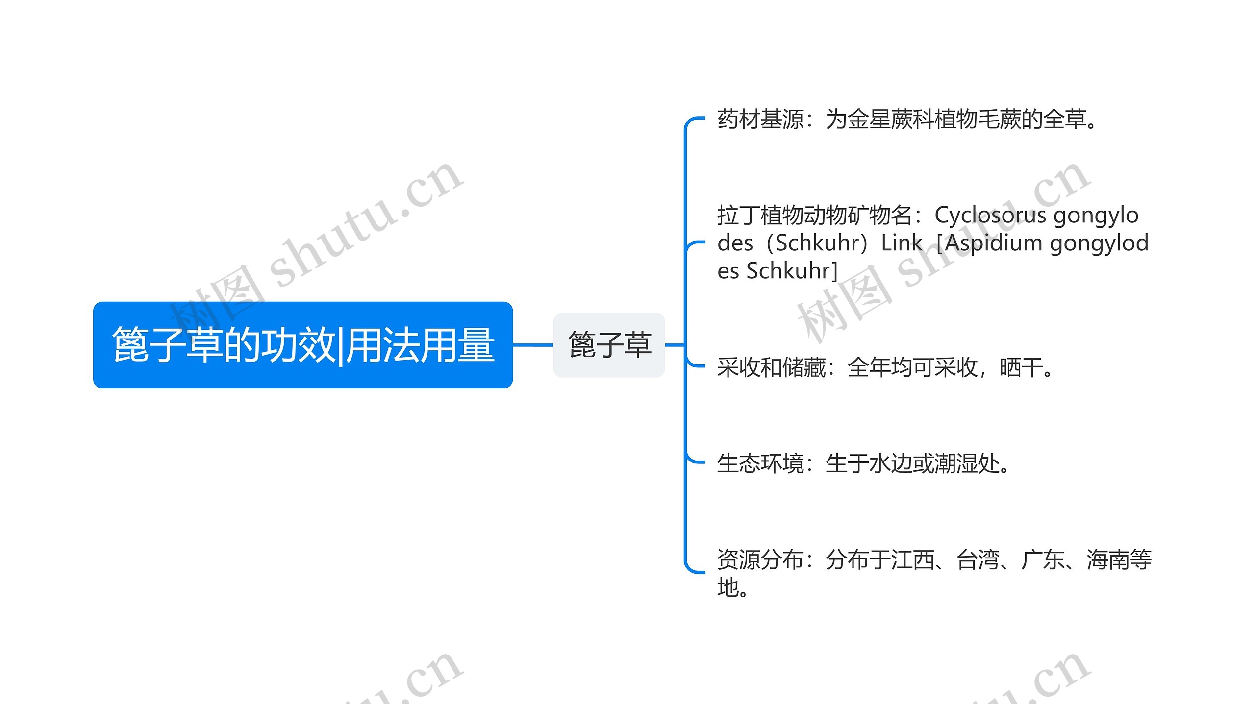 篦子草的功效|用法用量思维导图