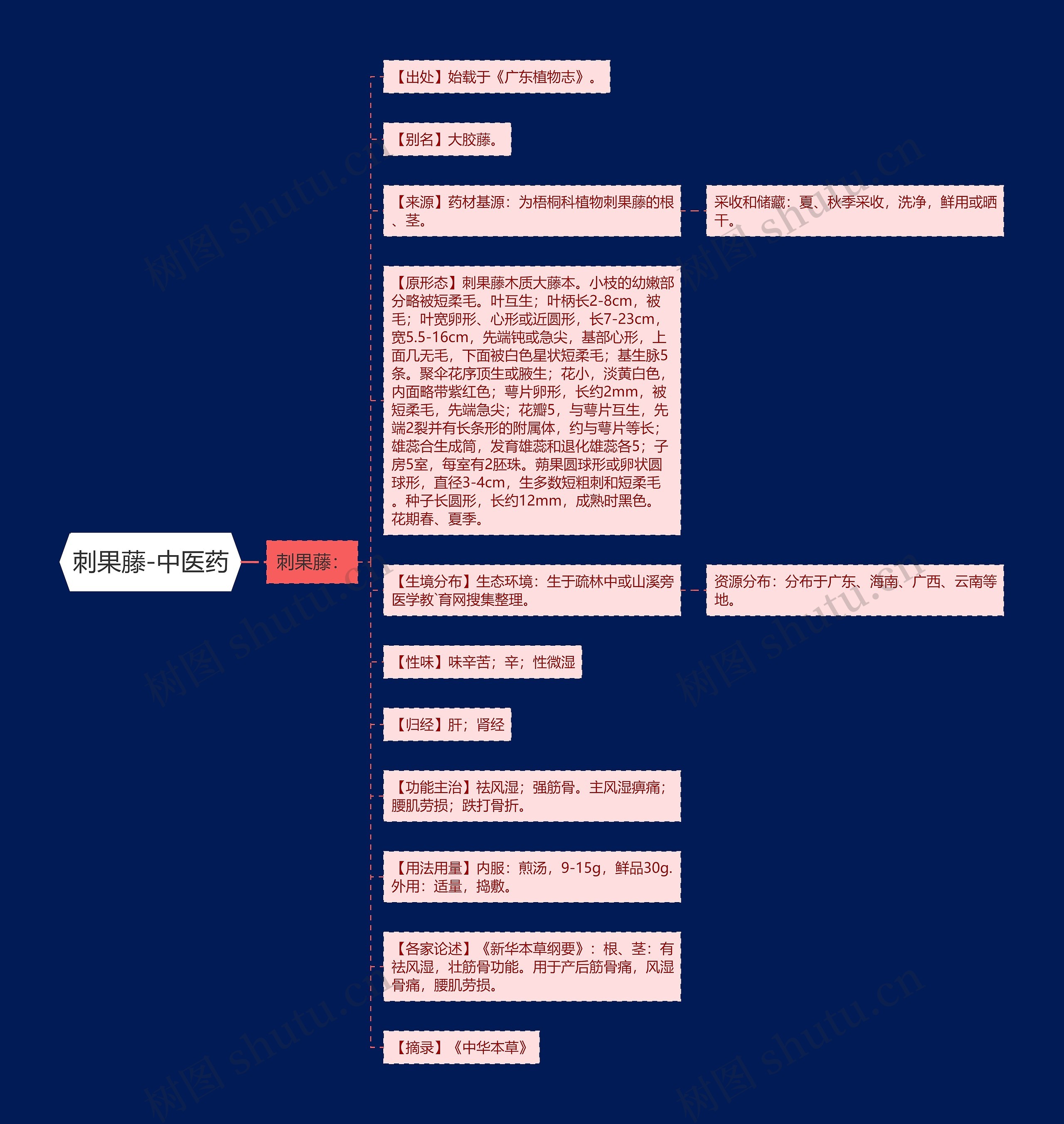 刺果藤-中医药思维导图