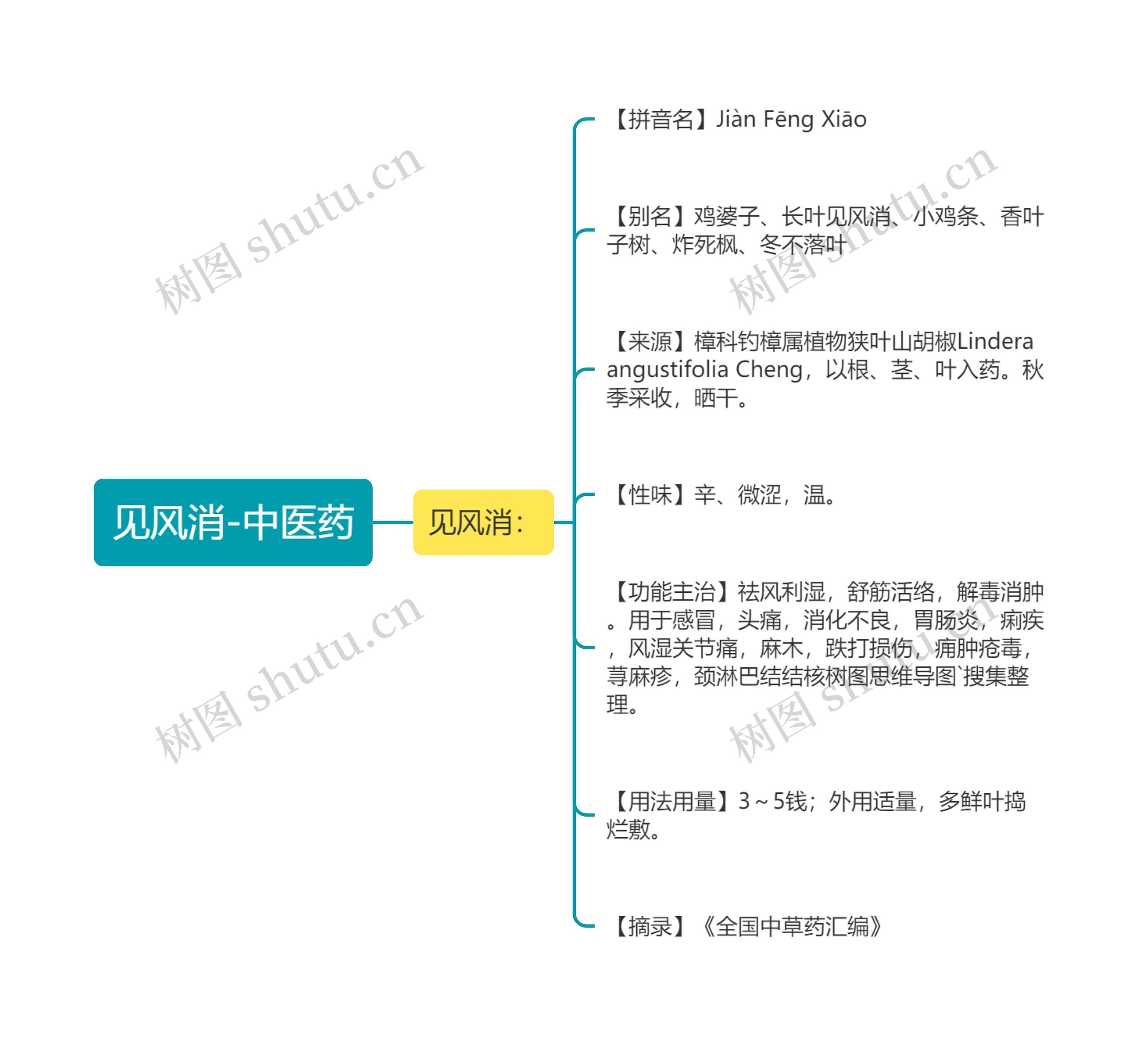 见风消-中医药思维导图