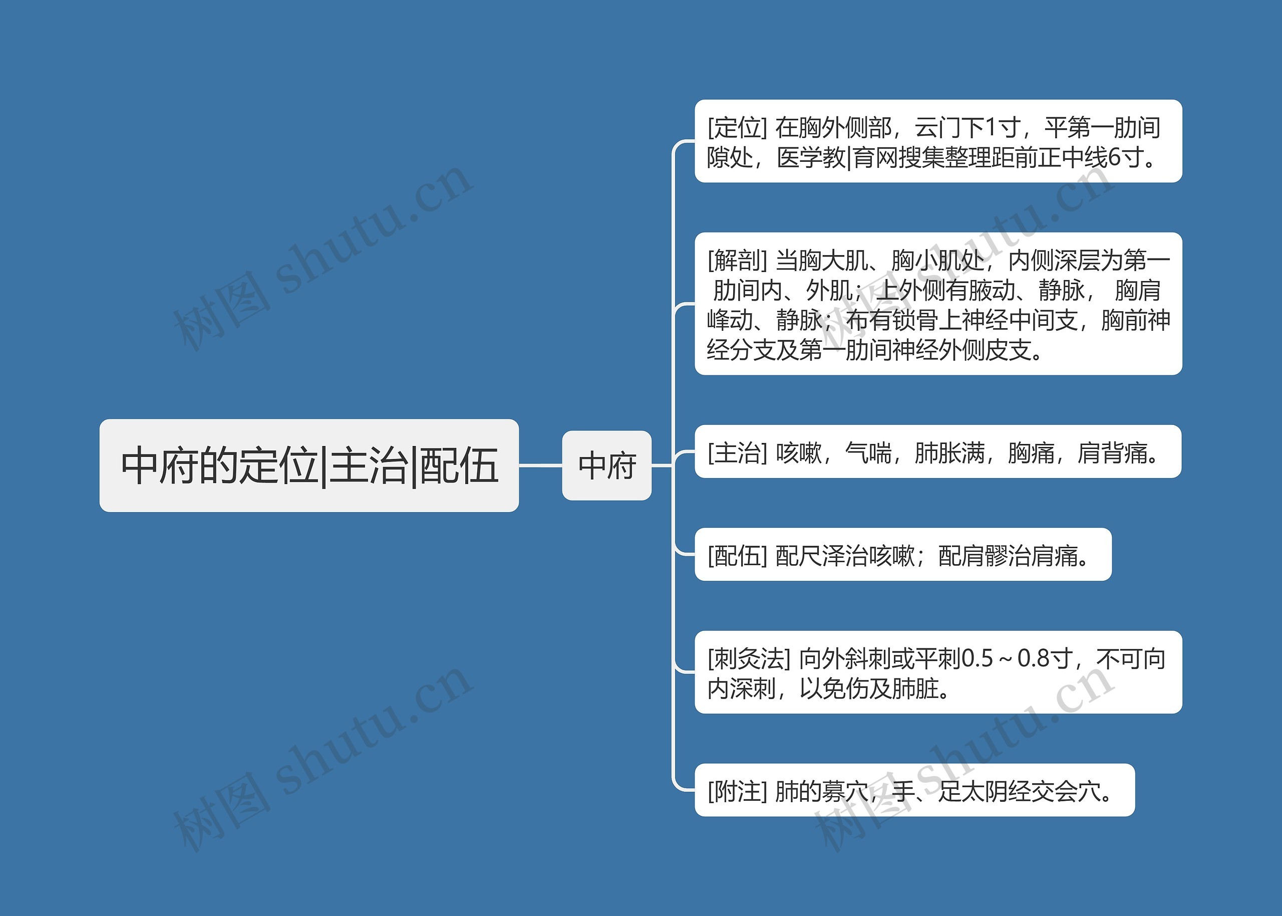 中府的定位|主治|配伍 中府的定位|主治|配伍