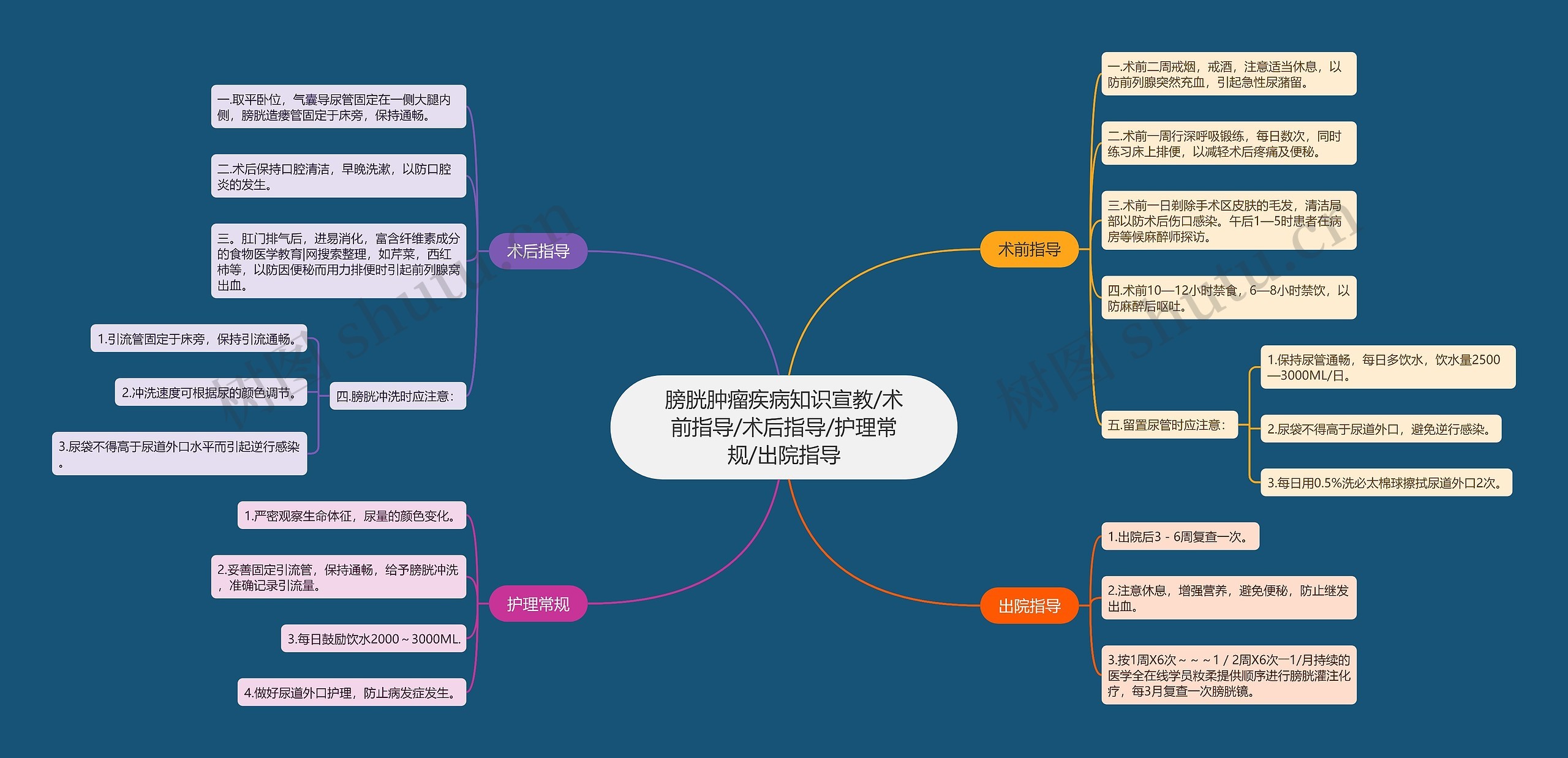 膀胱肿瘤疾病知识宣教/术前指导/术后指导/护理常规/出院指导