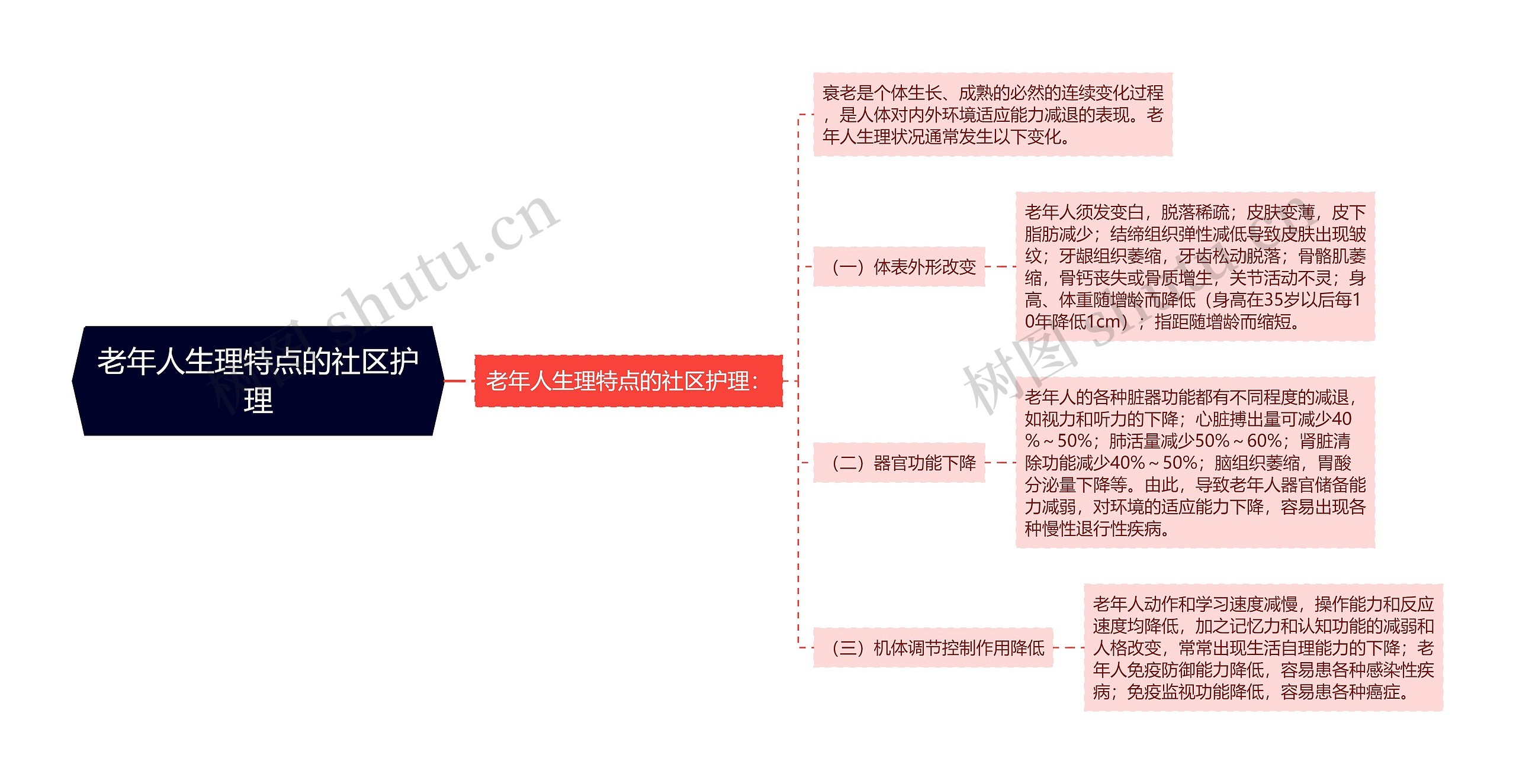 老年人生理特点的社区护理思维导图