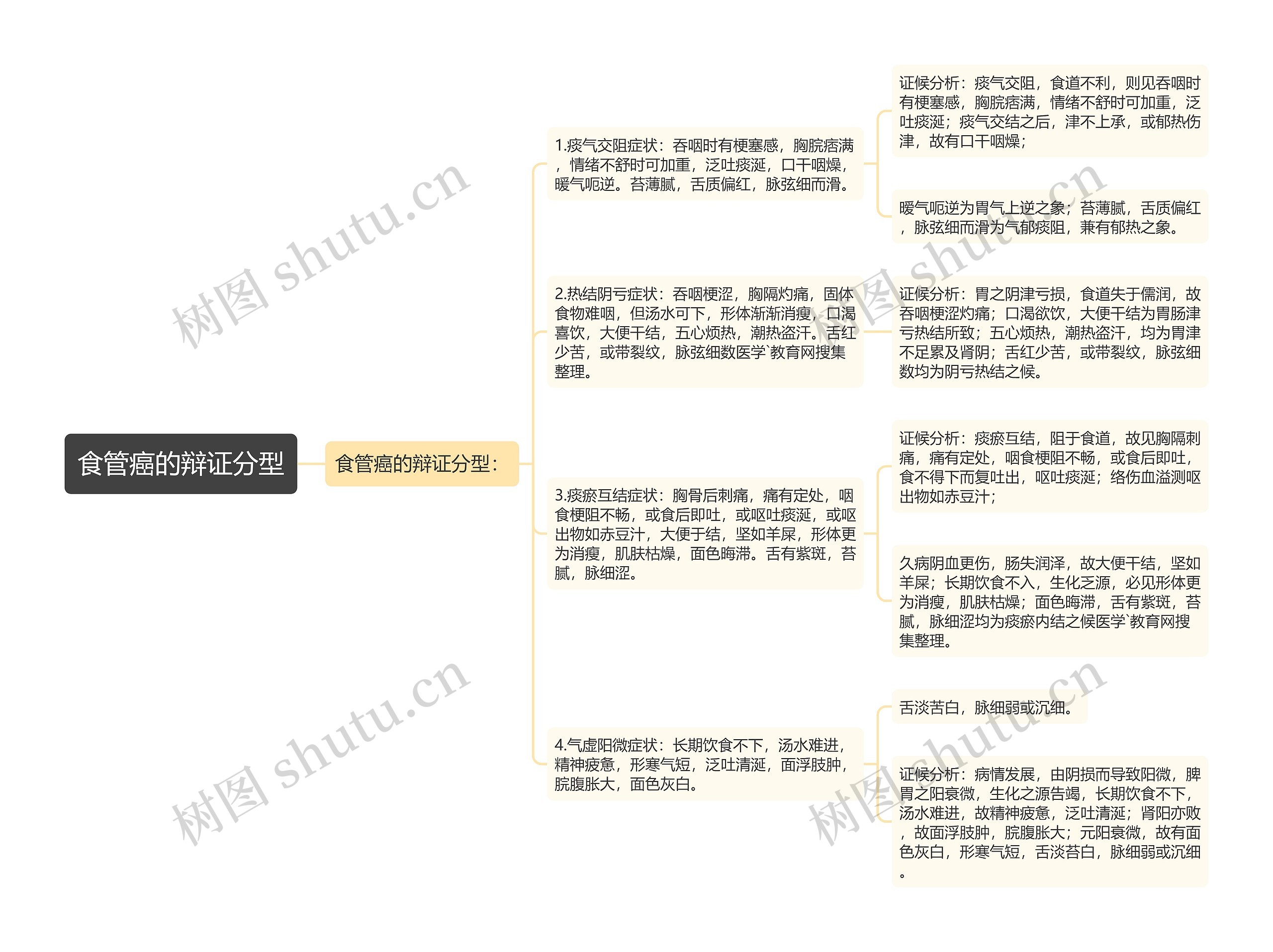 食管癌的辩证分型思维导图