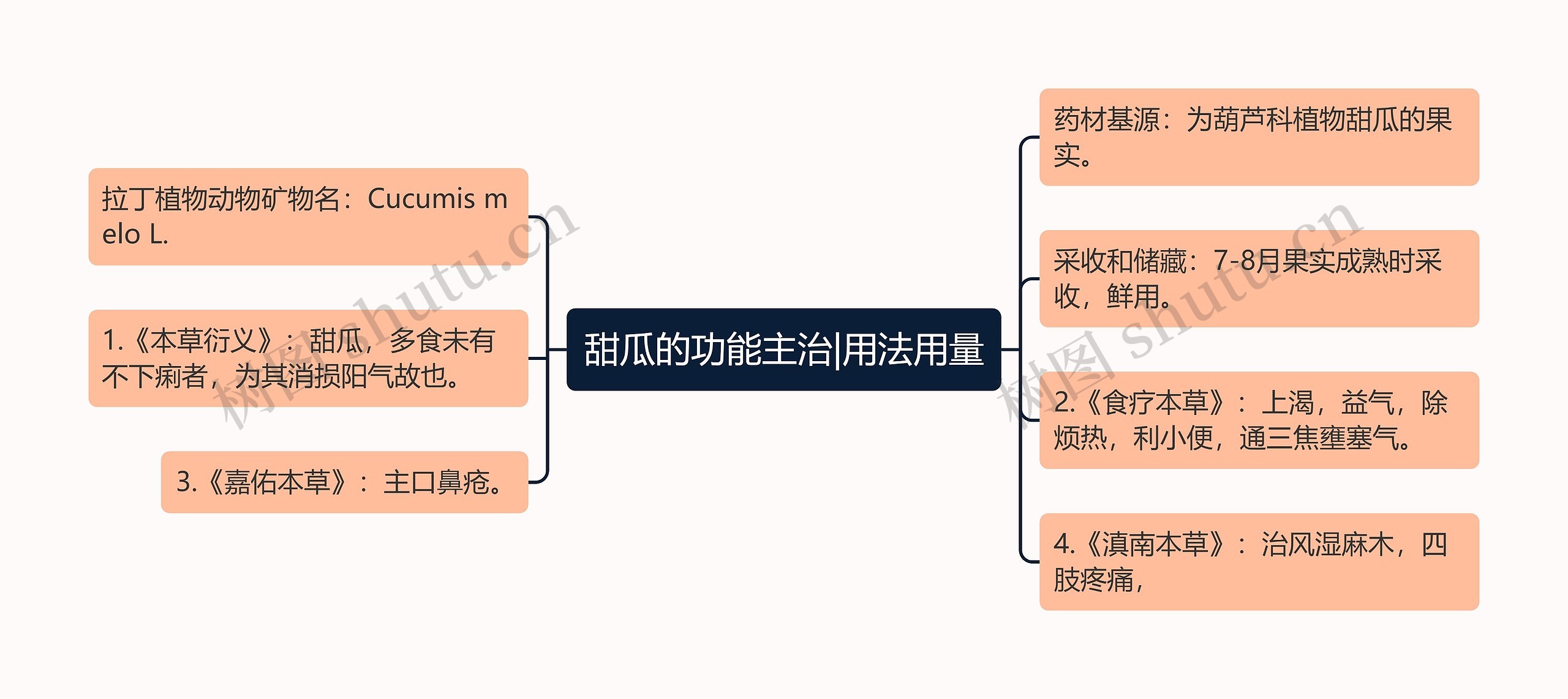 甜瓜的功能主治|用法用量思维导图