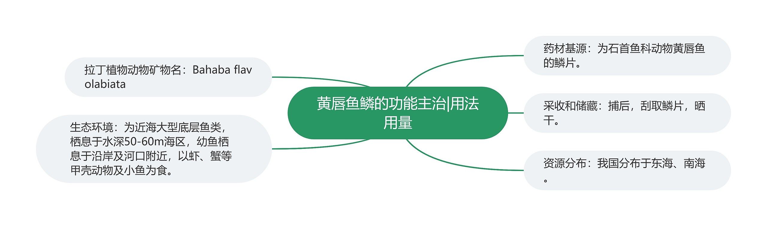 黄唇鱼鳞的功能主治|用法用量思维导图