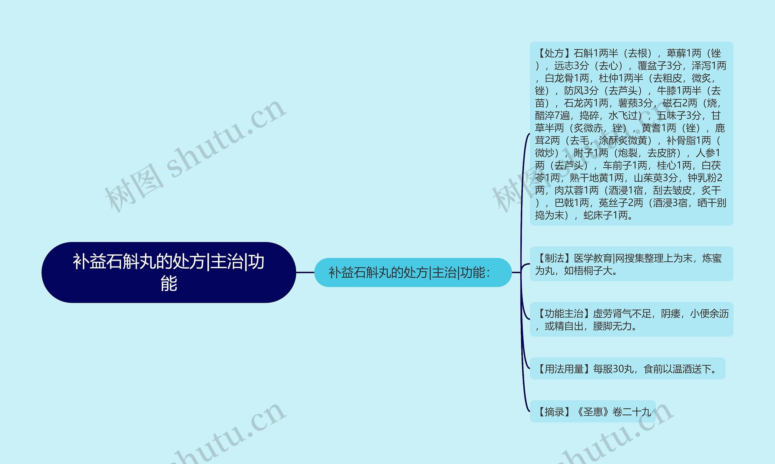 补益石斛丸的处方|主治|功能思维导图