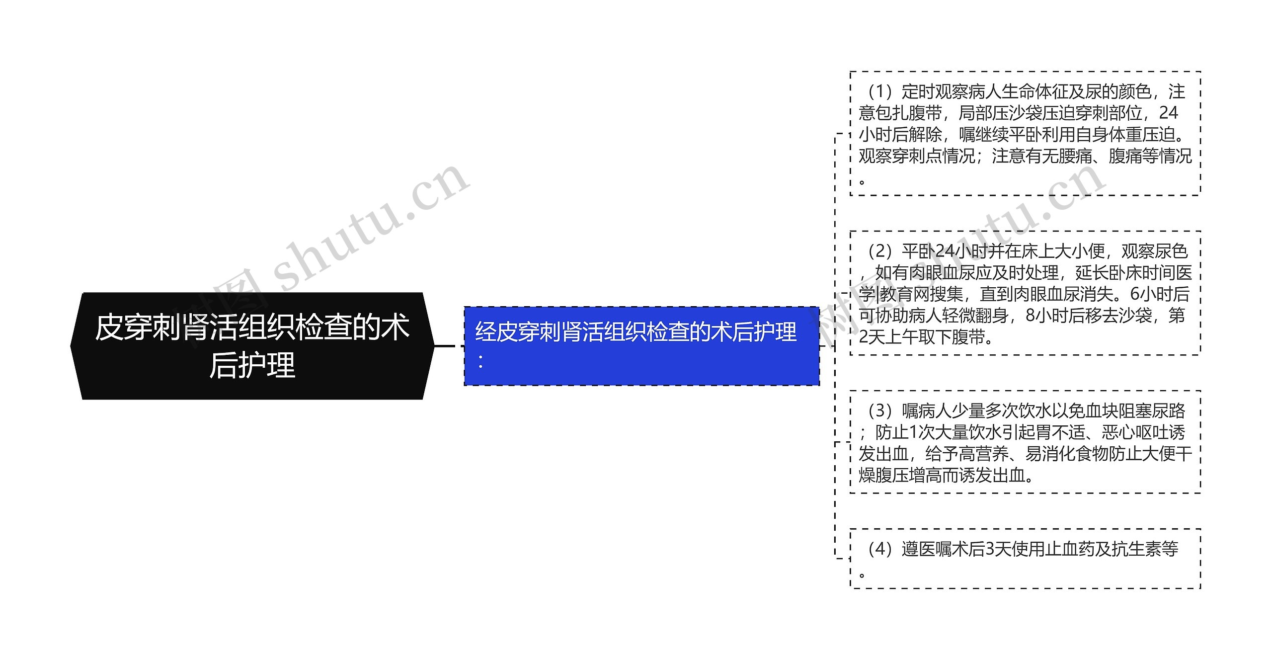 皮穿刺肾活组织检查的术后护理思维导图