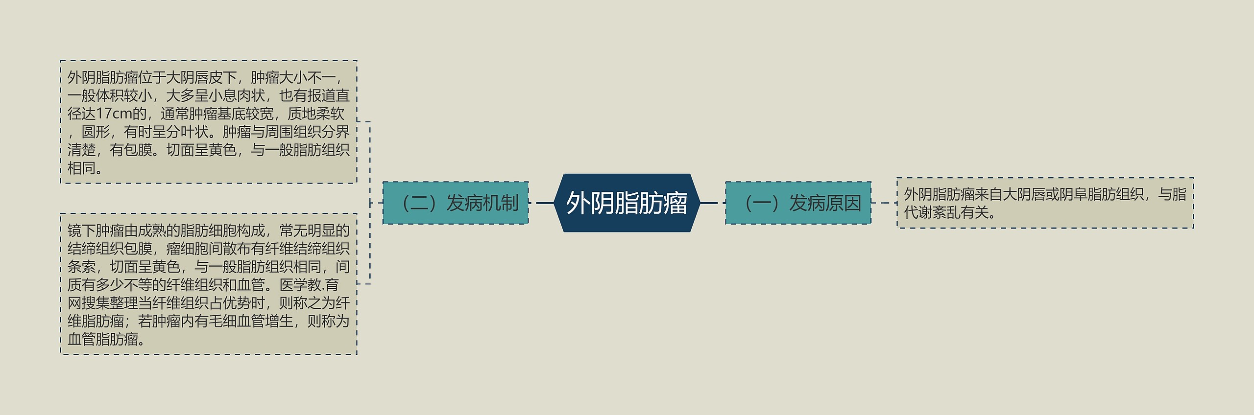 外阴脂肪瘤 外阴脂肪瘤