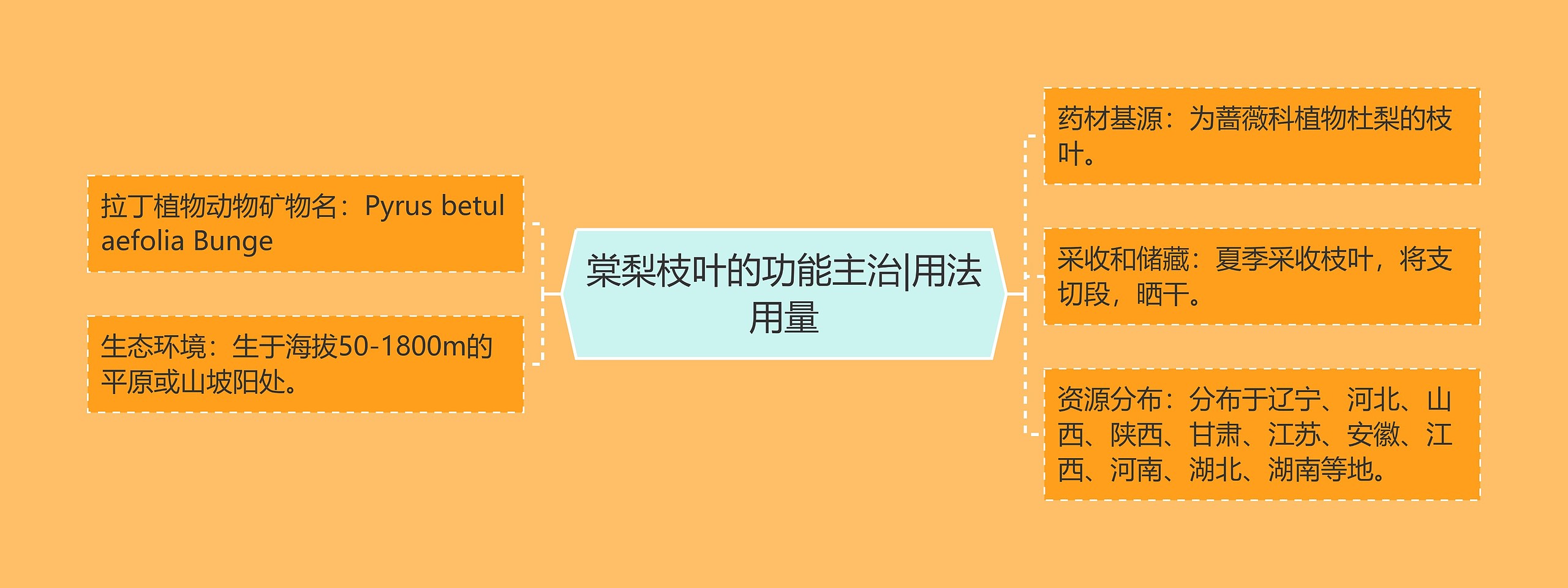 棠梨枝叶的功能主治|用法用量