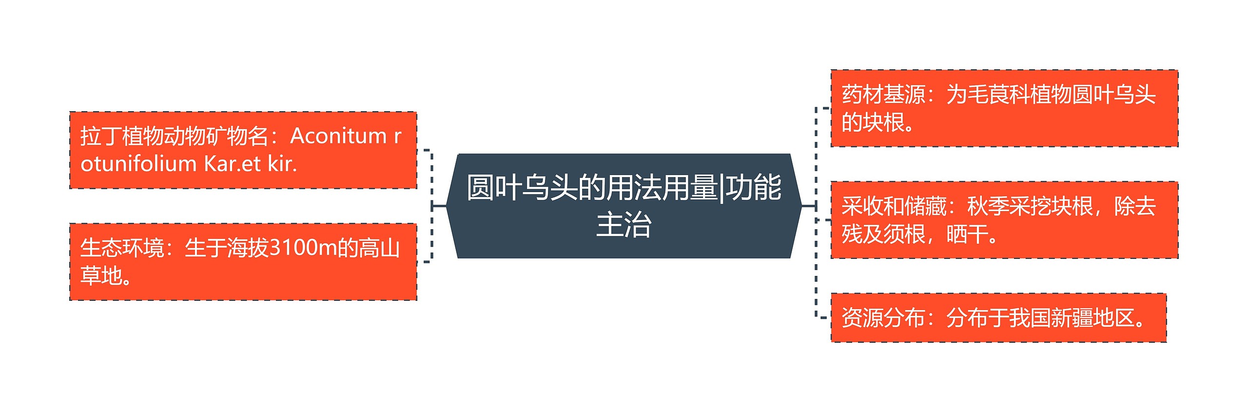 圆叶乌头的用法用量|功能主治 圆叶乌头的用法用量|功能主治