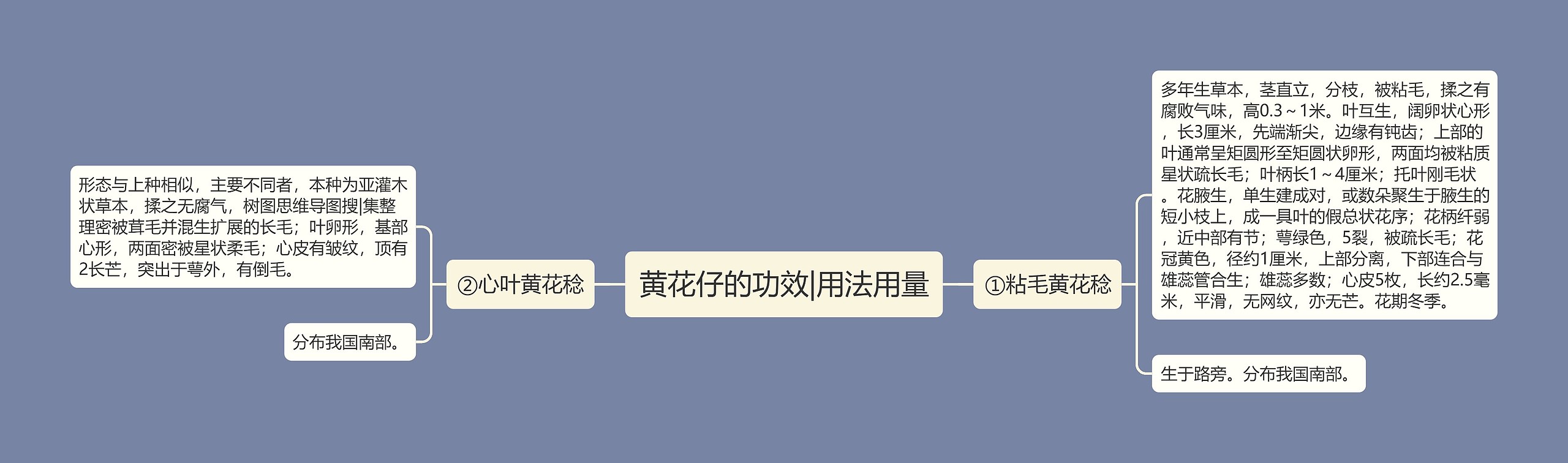 黄花仔的功效|用法用量 黄花仔的功效|用法用量