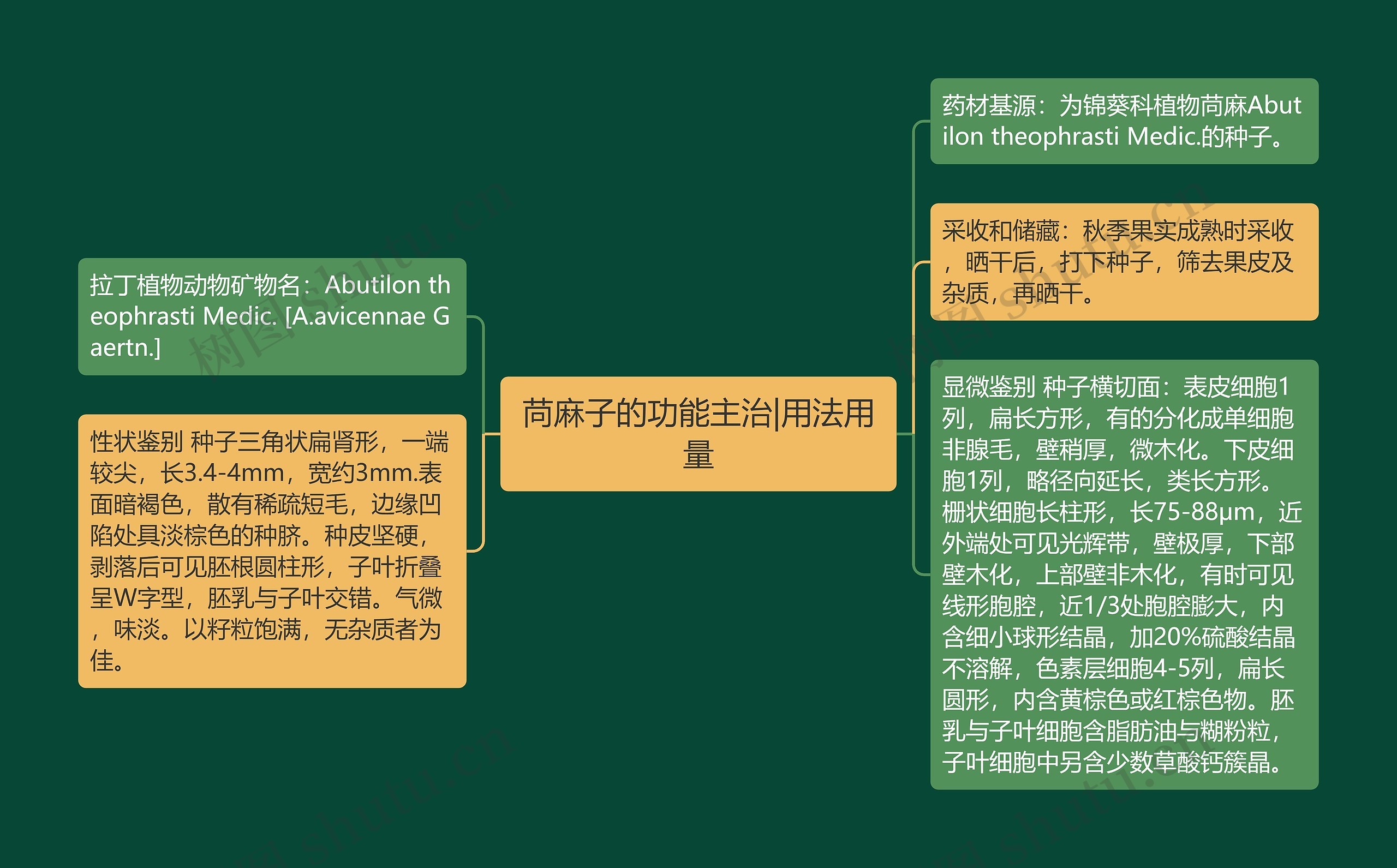 苘麻子的功能主治|用法用量