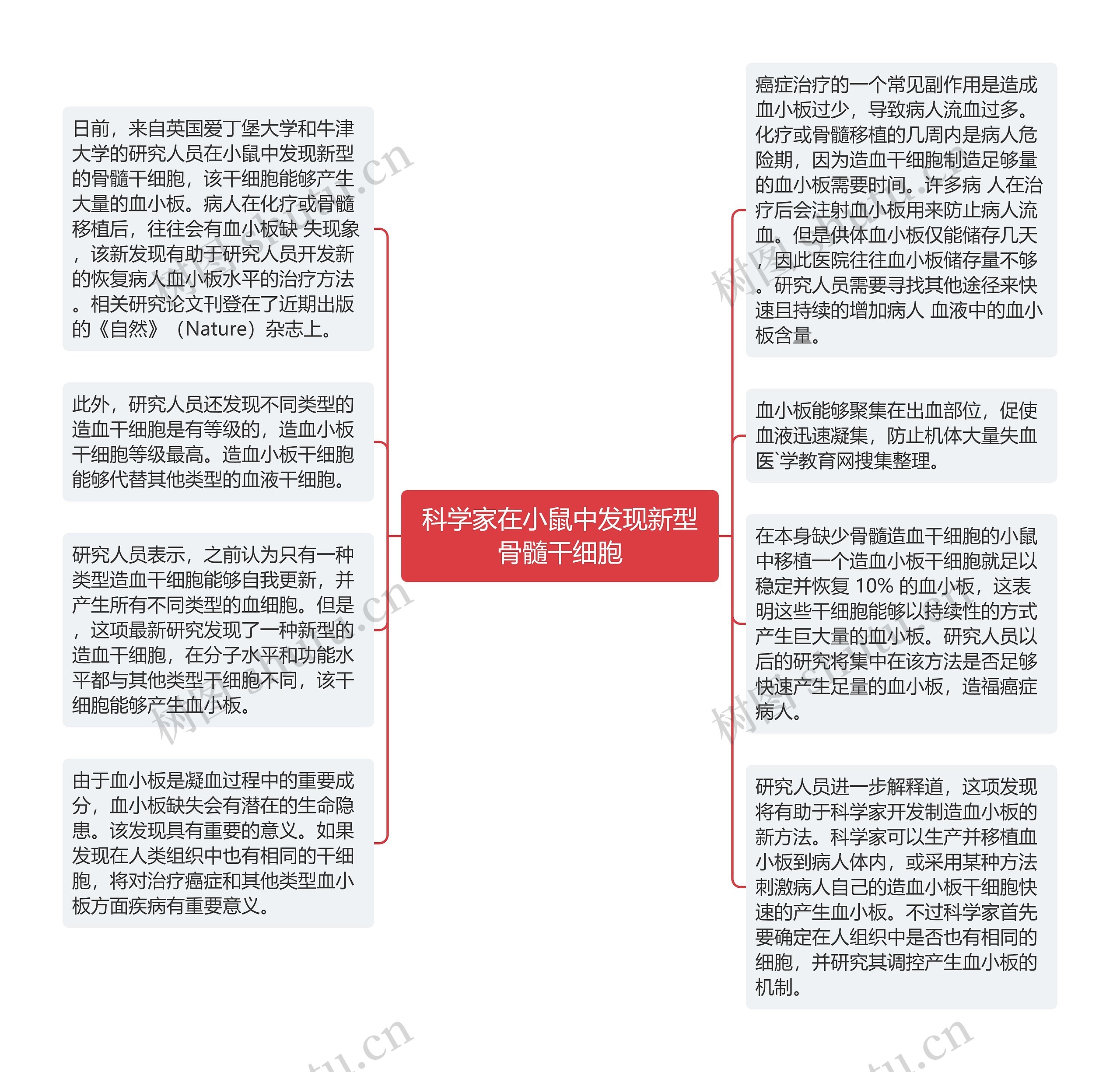 科学家在小鼠中发现新型骨髓干细胞