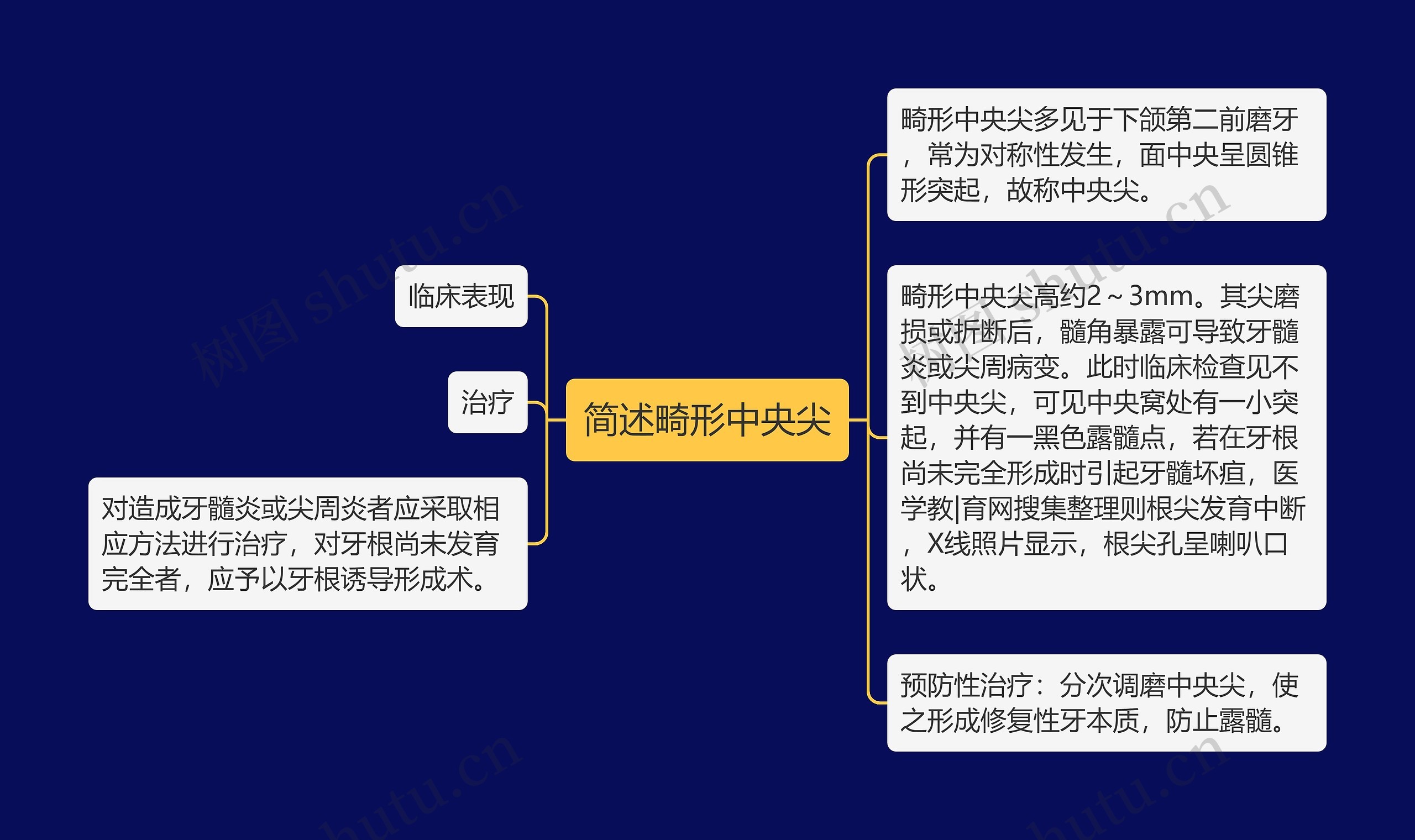 简述畸形中央尖思维导图