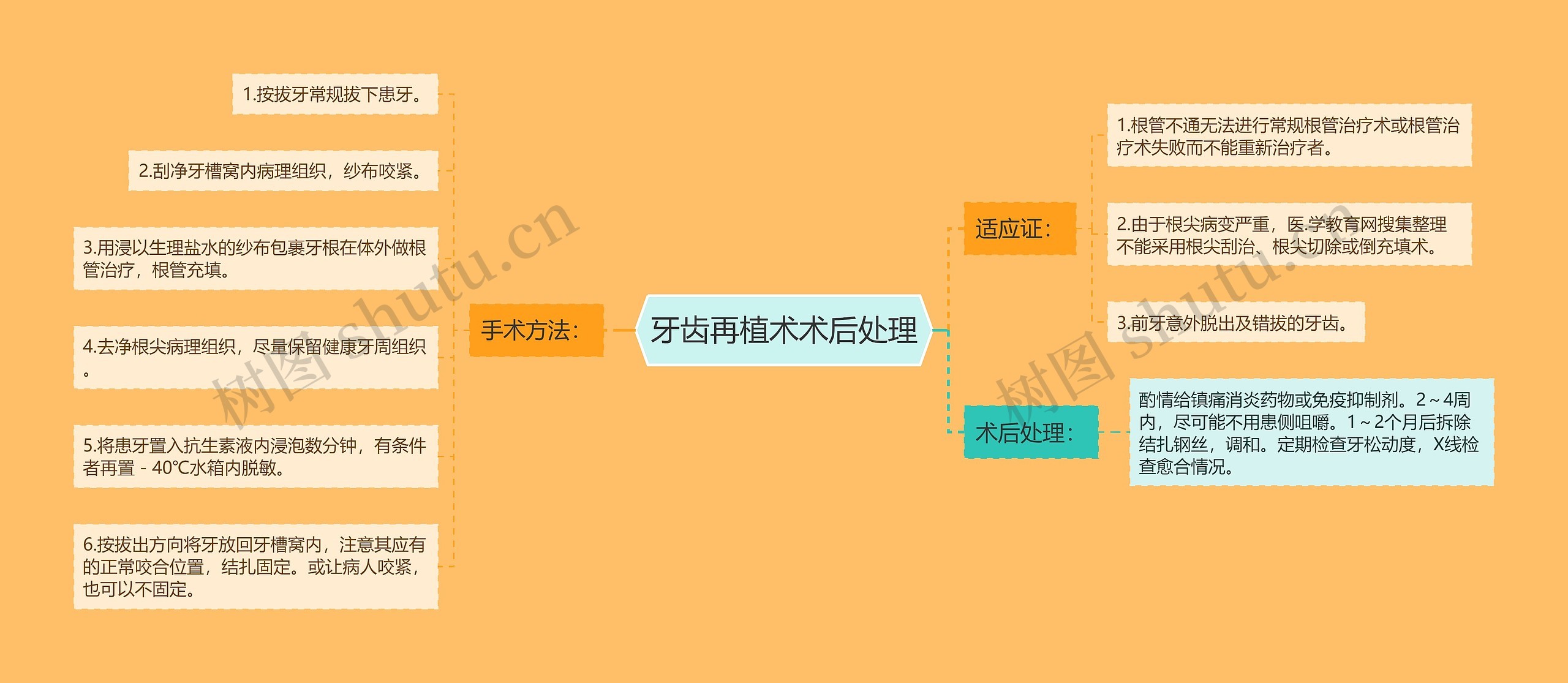 牙齿再植术术后处理思维导图