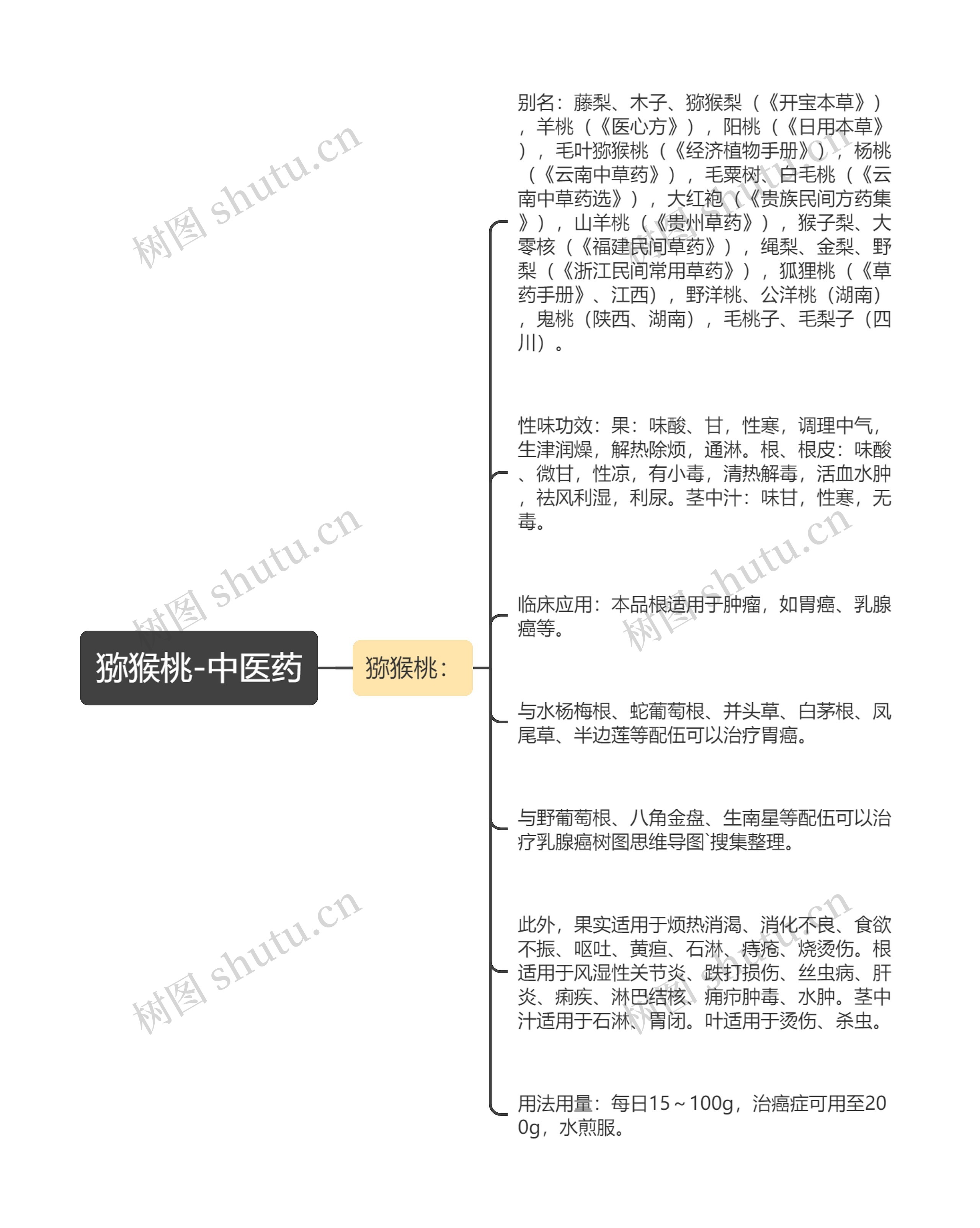 猕猴桃-中医药 猕猴桃-中医药