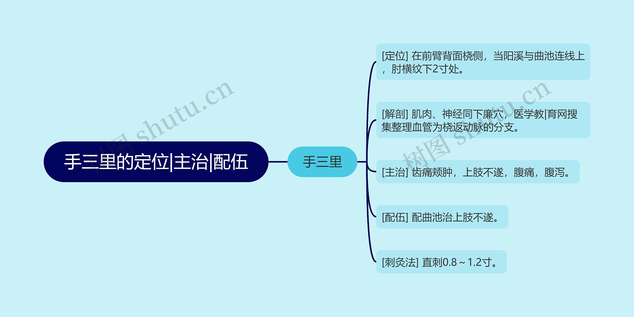 手三里的定位|主治|配伍