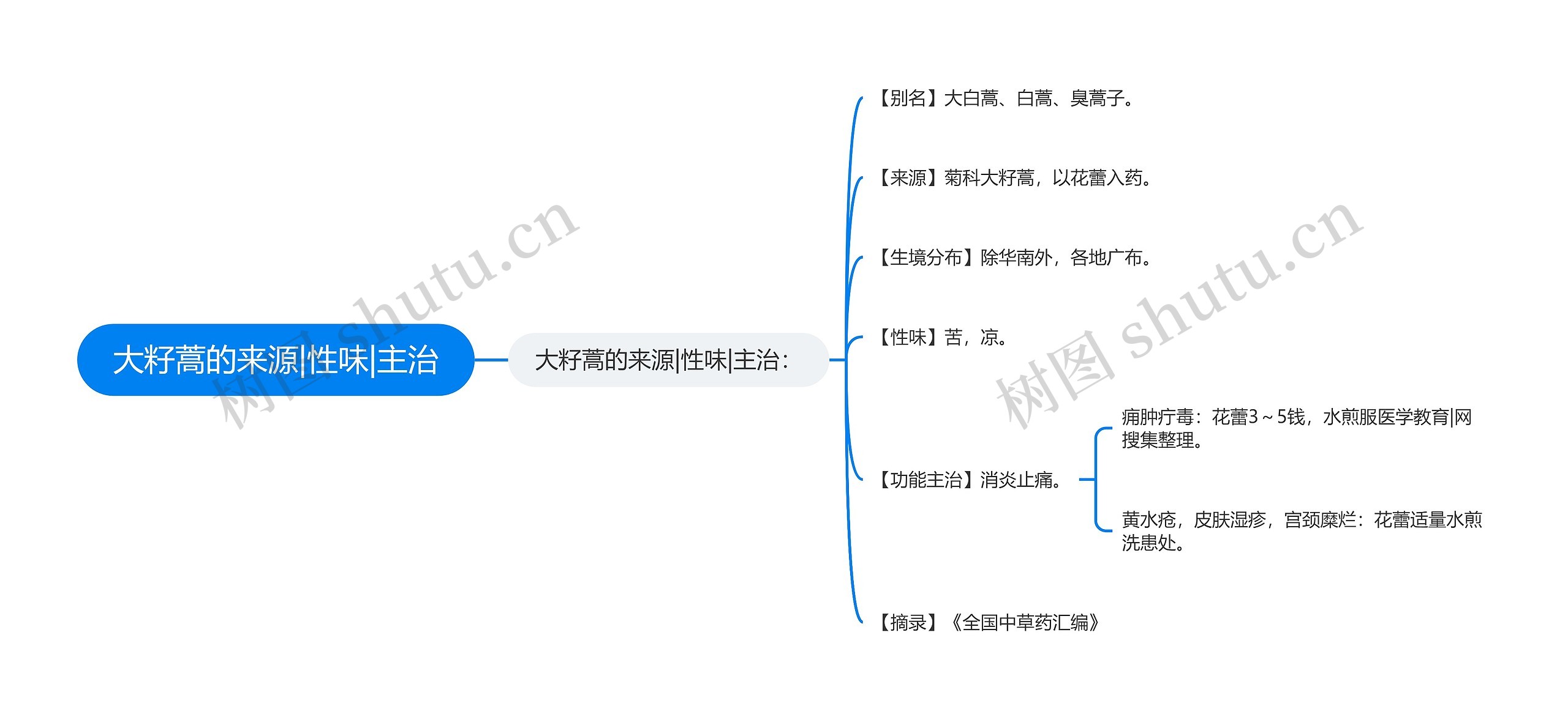 大籽蒿的来源|性味|主治思维导图