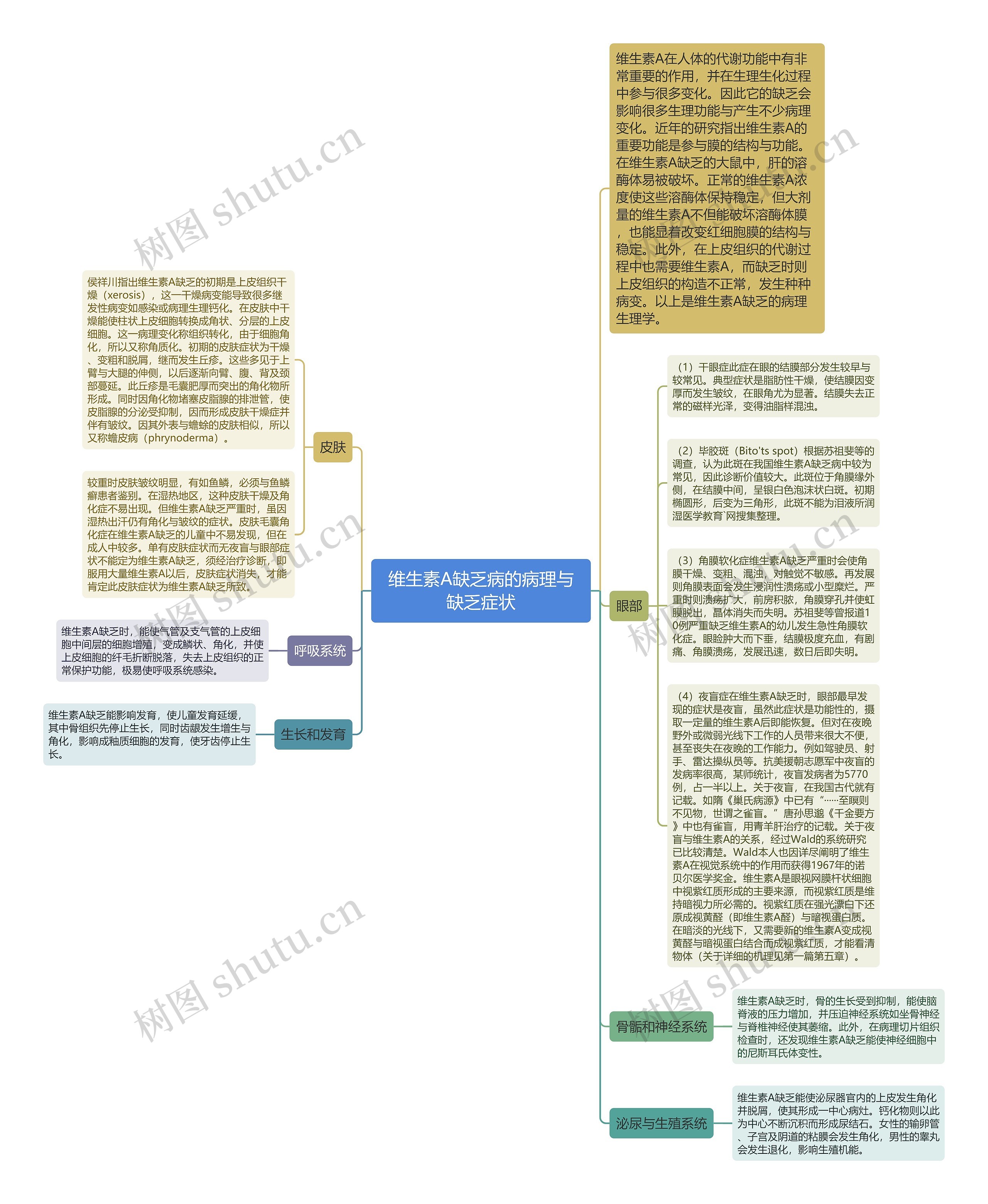 维生素A缺乏病的病理与缺乏症状思维导图