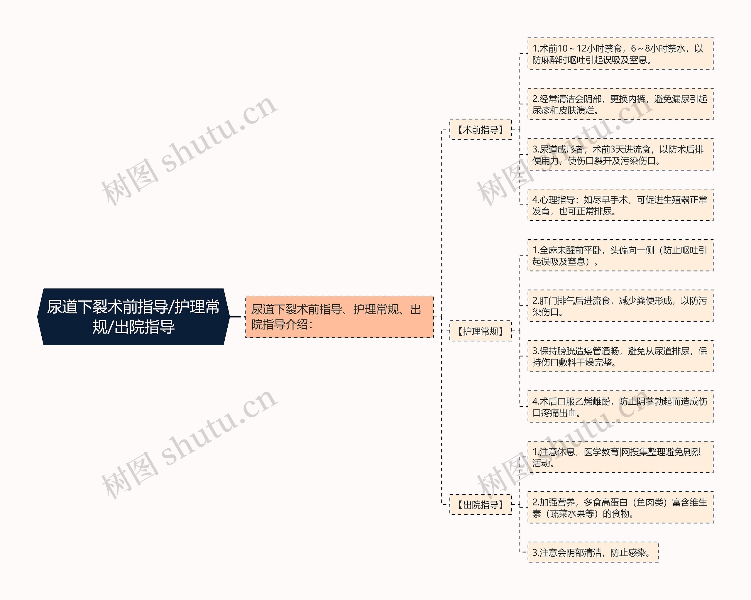 尿道下裂术前指导/护理常规/出院指导思维导图