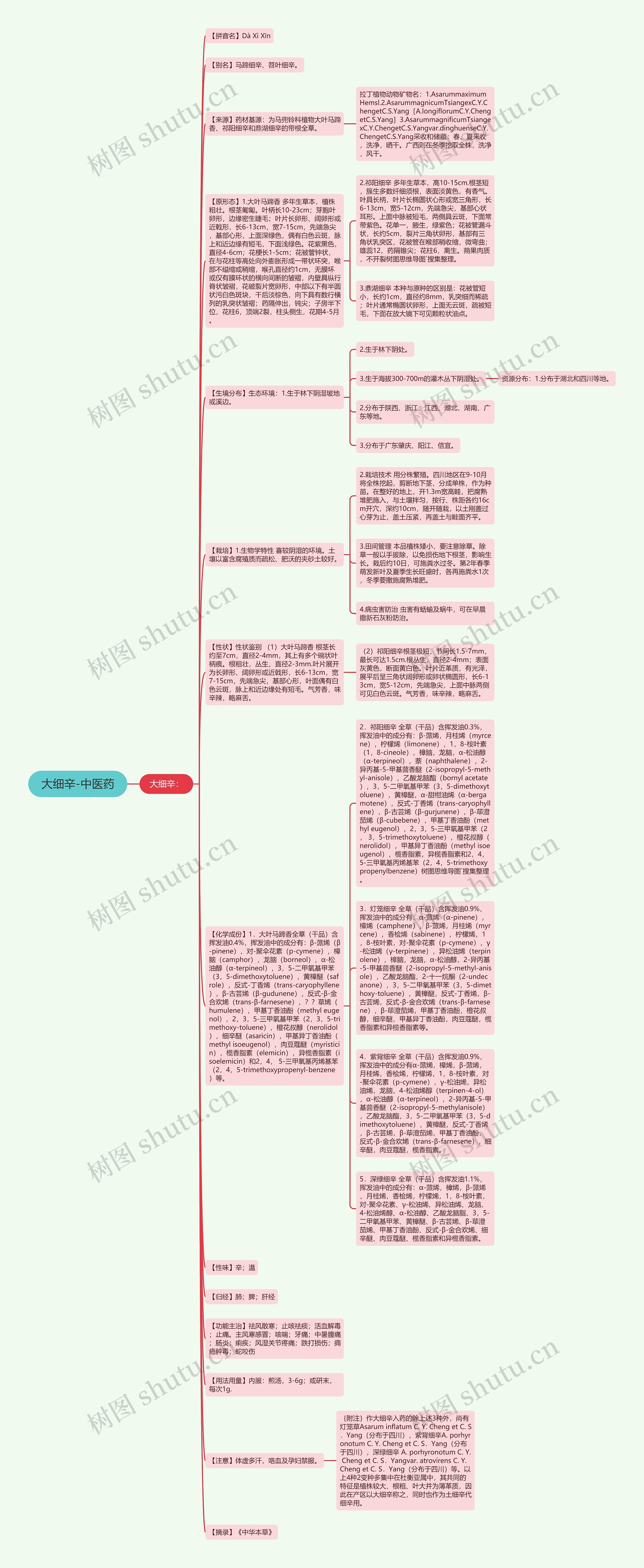 大细辛-中医药思维导图
