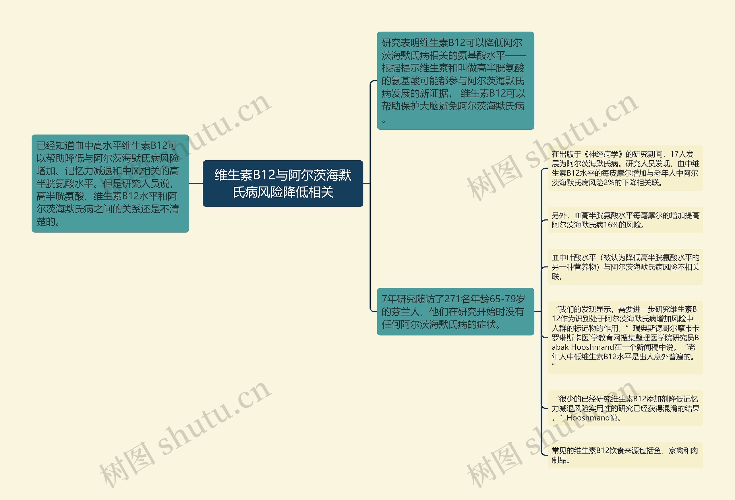 维生素B12与阿尔茨海默氏病风险降低相关思维导图