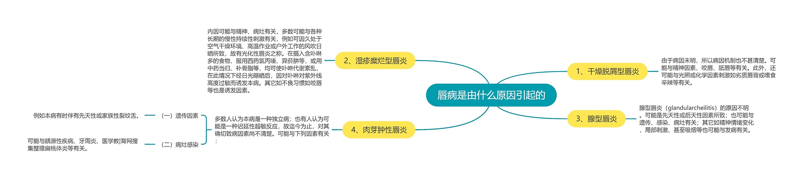 唇病是由什么原因引起的思维导图