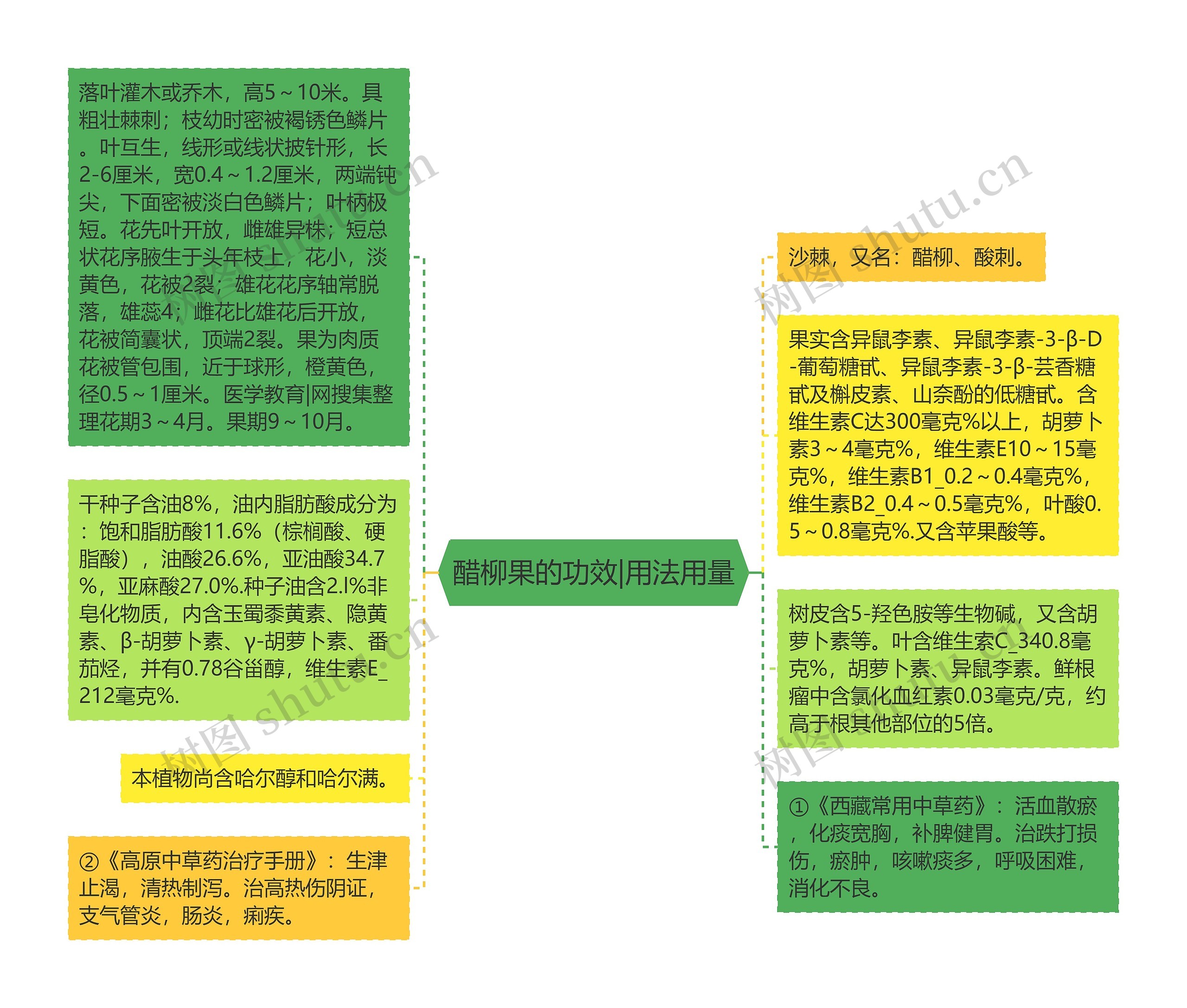 醋柳果的功效|用法用量思维导图