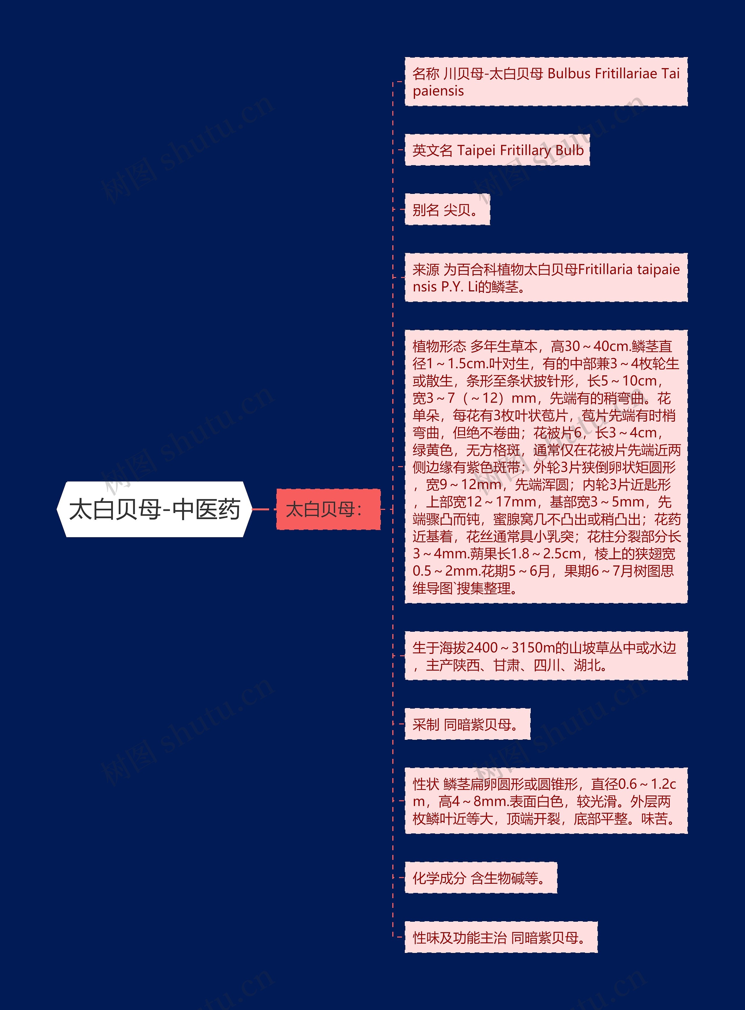太白贝母-中医药 太白贝母-中医药