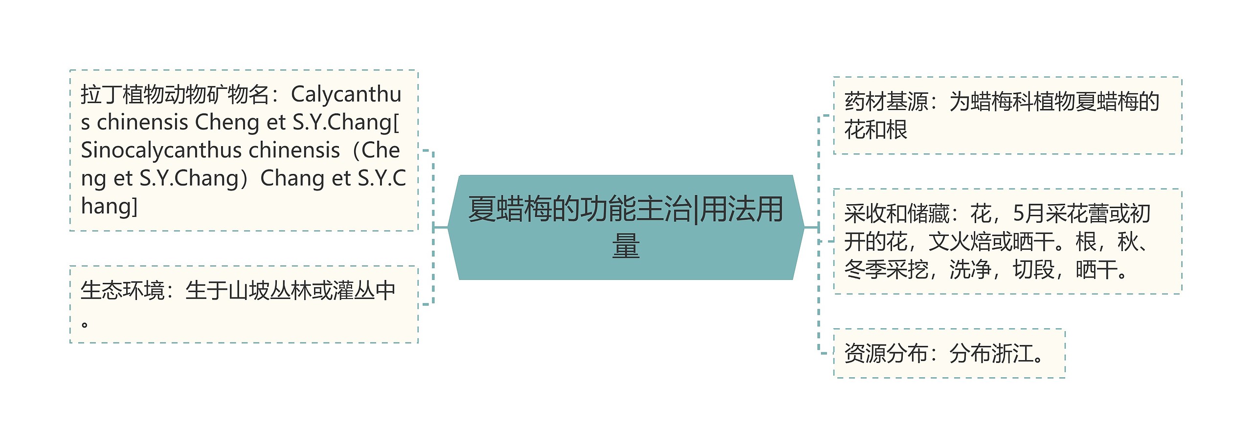 夏蜡梅的功能主治|用法用量 夏蜡梅的功能主治|用法用量