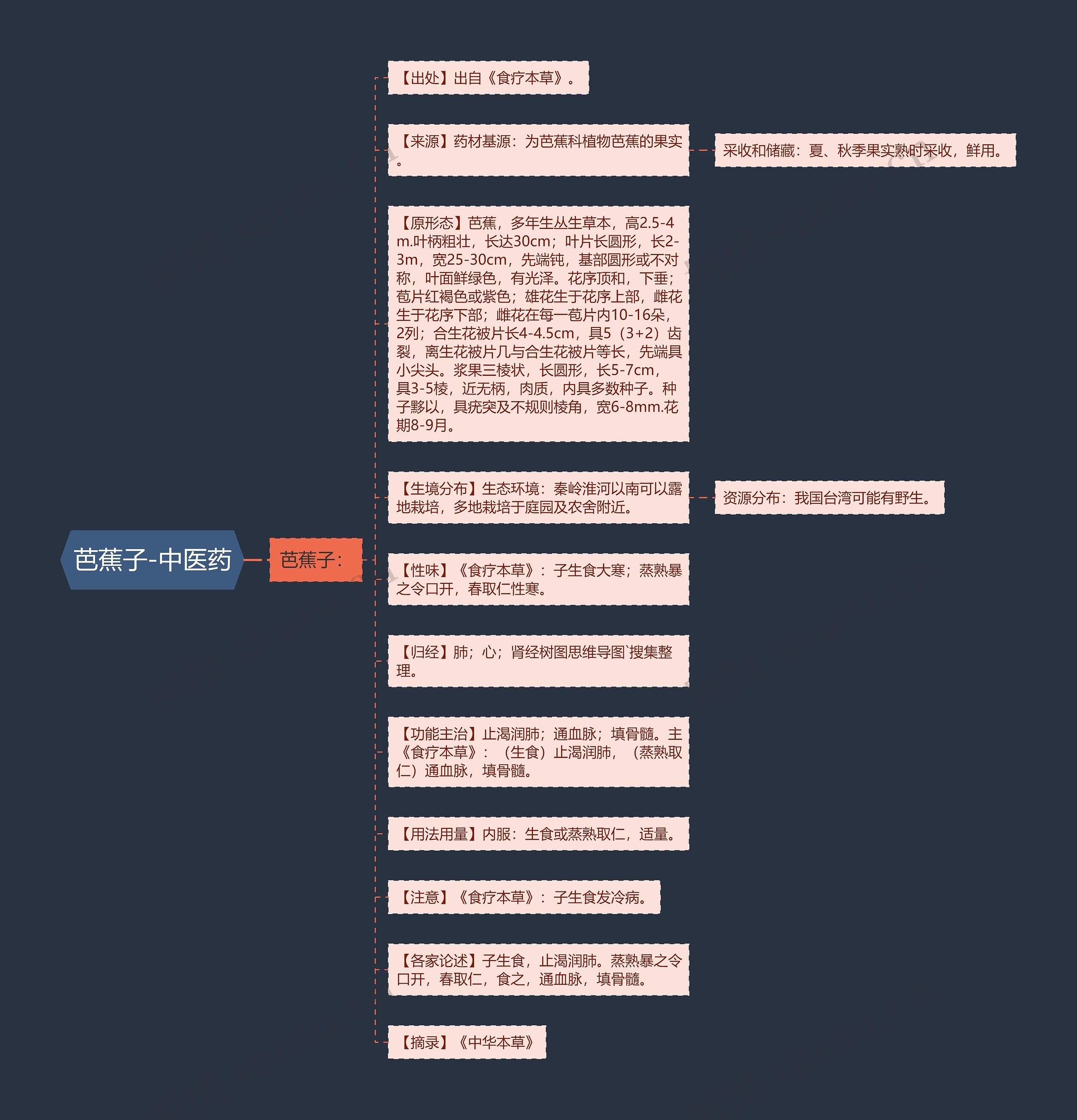 芭蕉子-中医药 芭蕉子-中医药