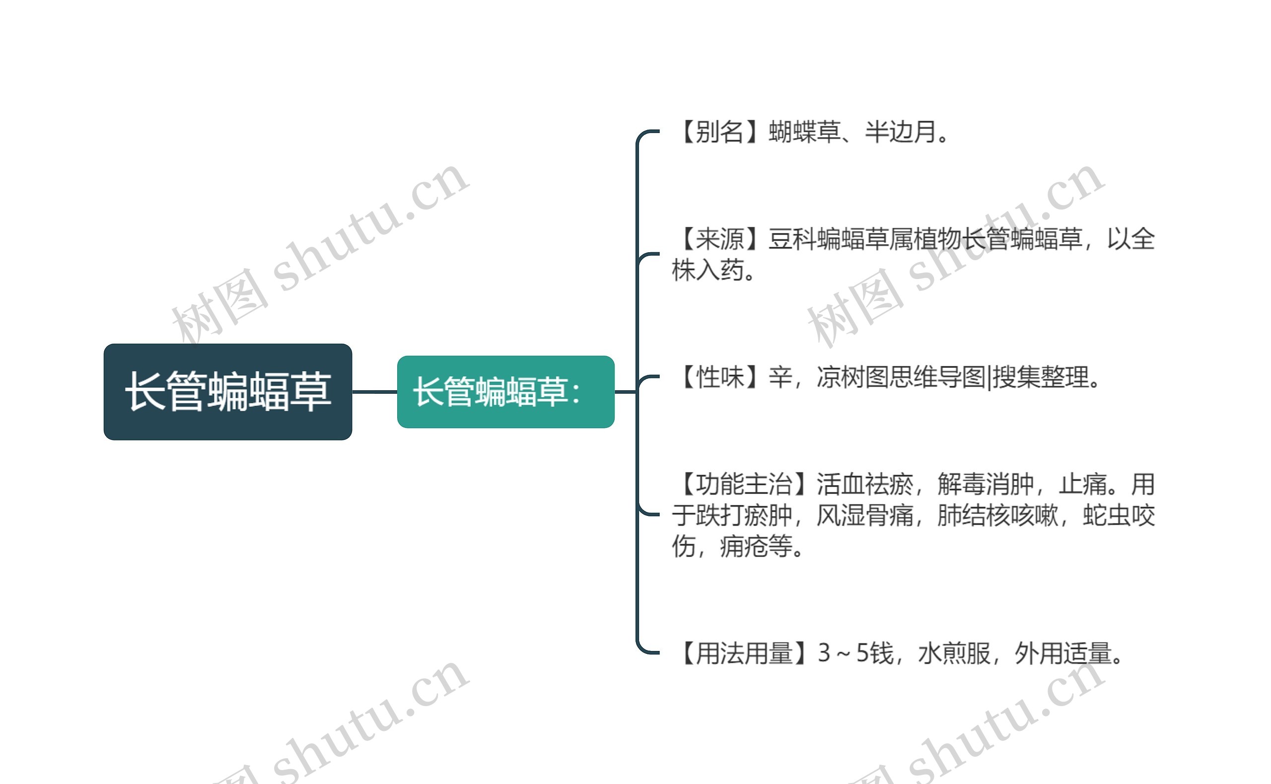 长管蝙蝠草