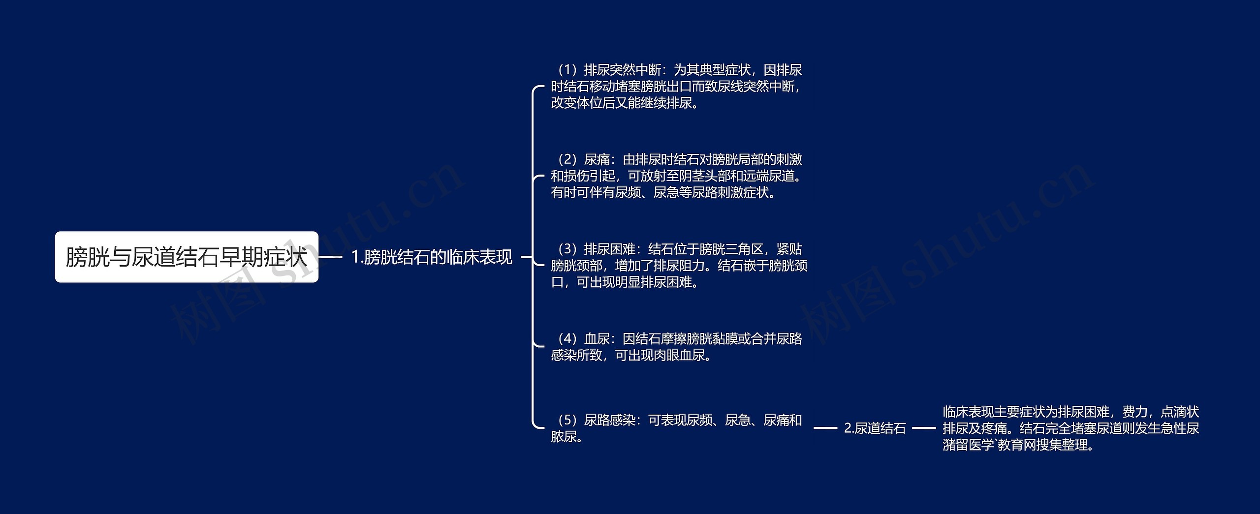 膀胱与尿道结石早期症状思维导图