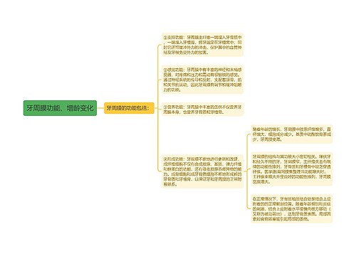 牙周膜功能、增龄变化