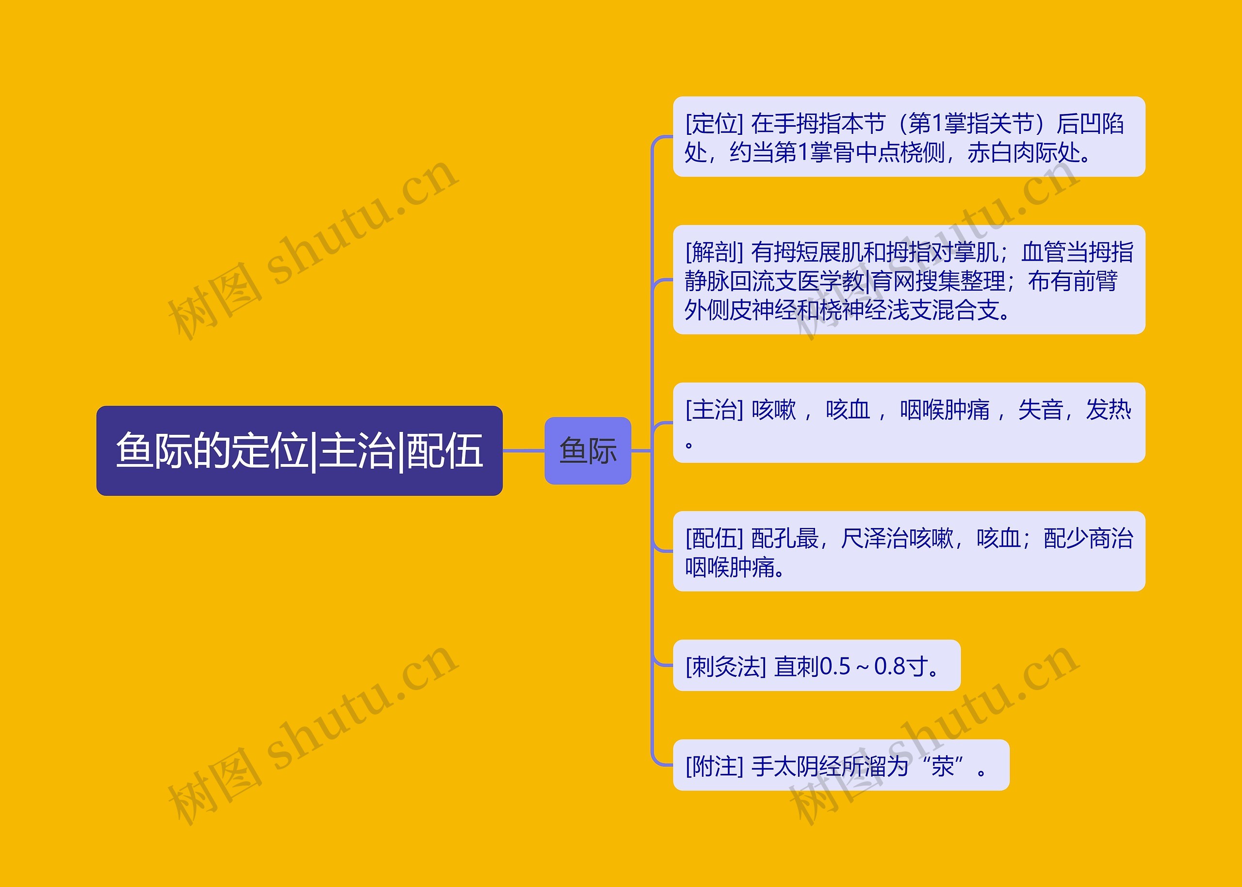 鱼际的定位|主治|配伍思维导图