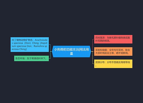 小狗脊的功能主治|用法用量