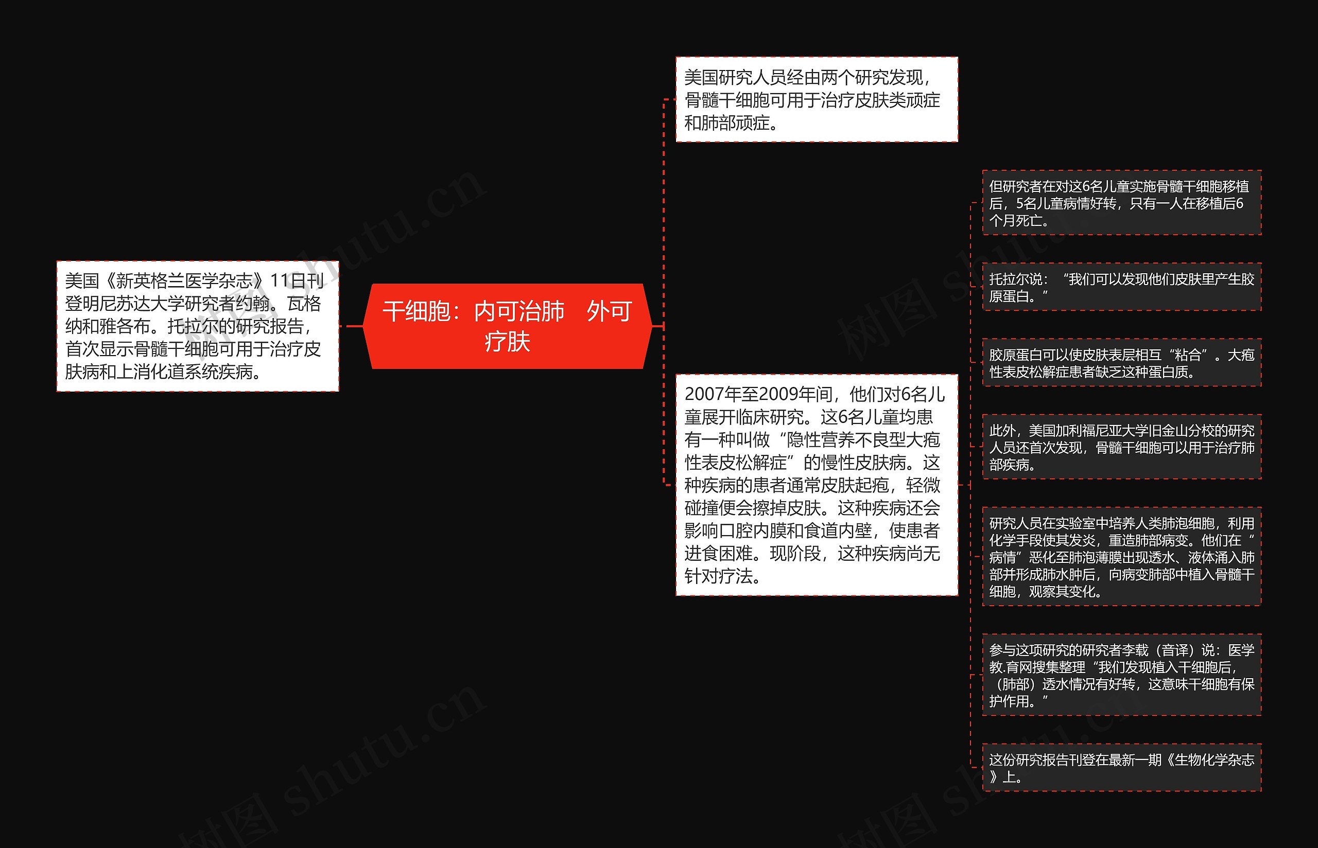干细胞:内可治肺 外可疗肤 干细胞:内可治肺 外可疗肤