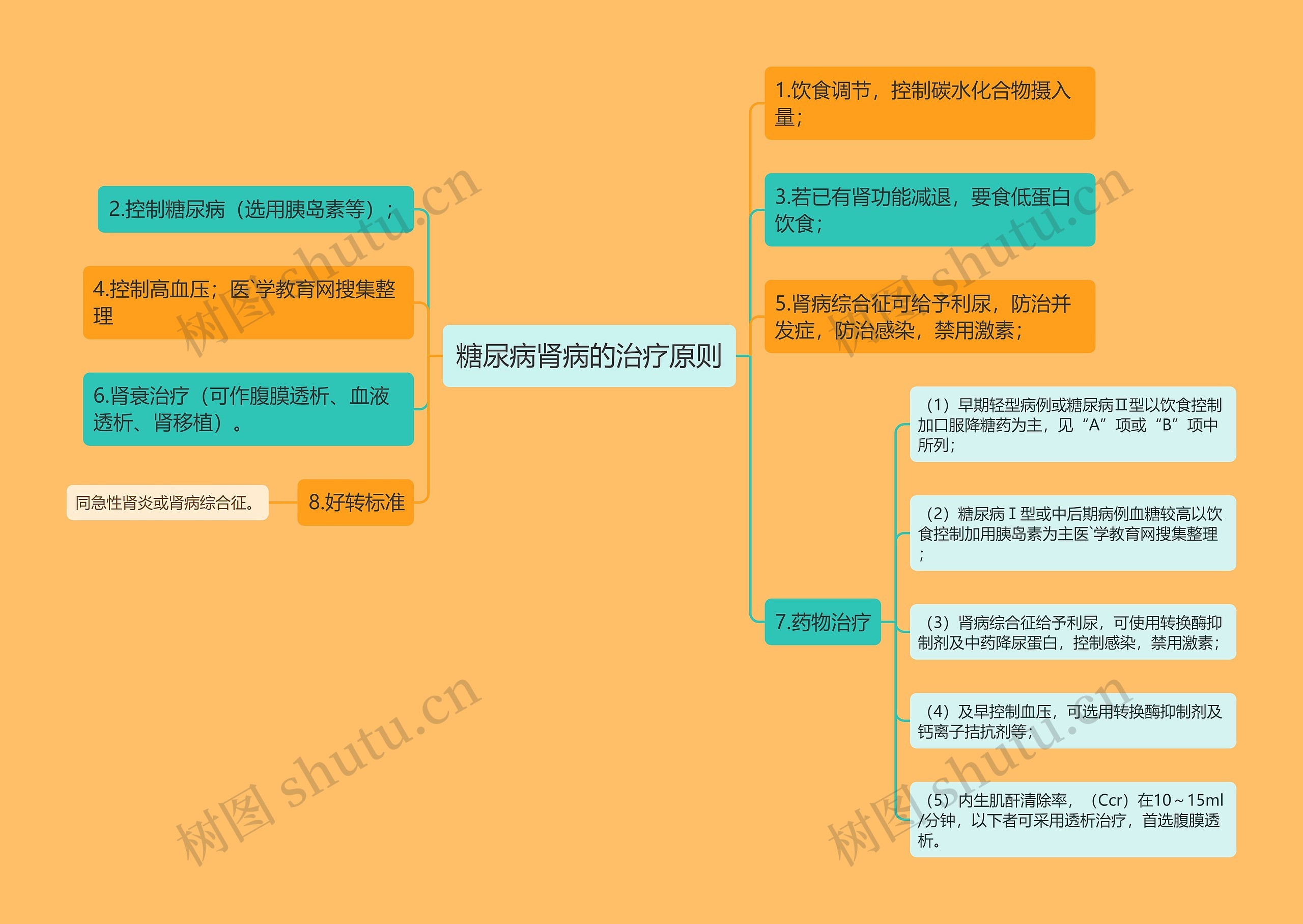 糖尿病肾病的治疗原则思维导图