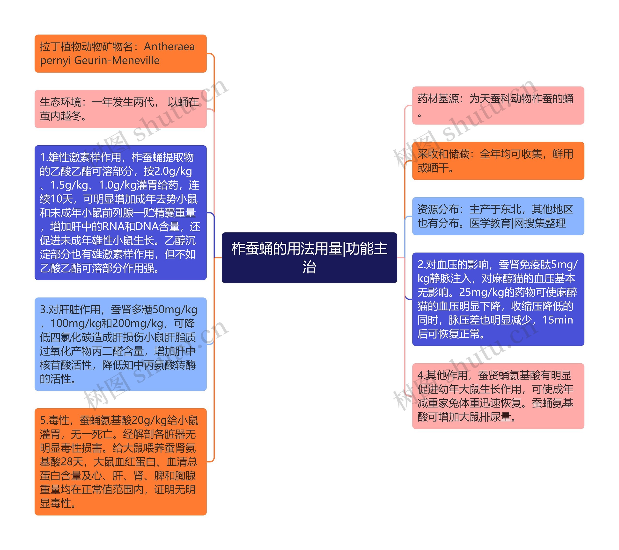 柞蚕蛹的用法用量|功能主治思维导图